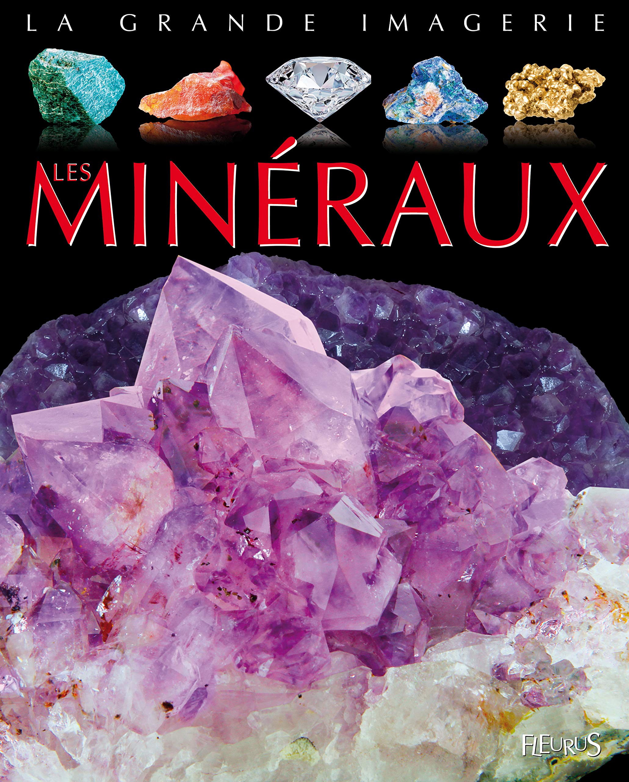 Les minéraux 9782215116219