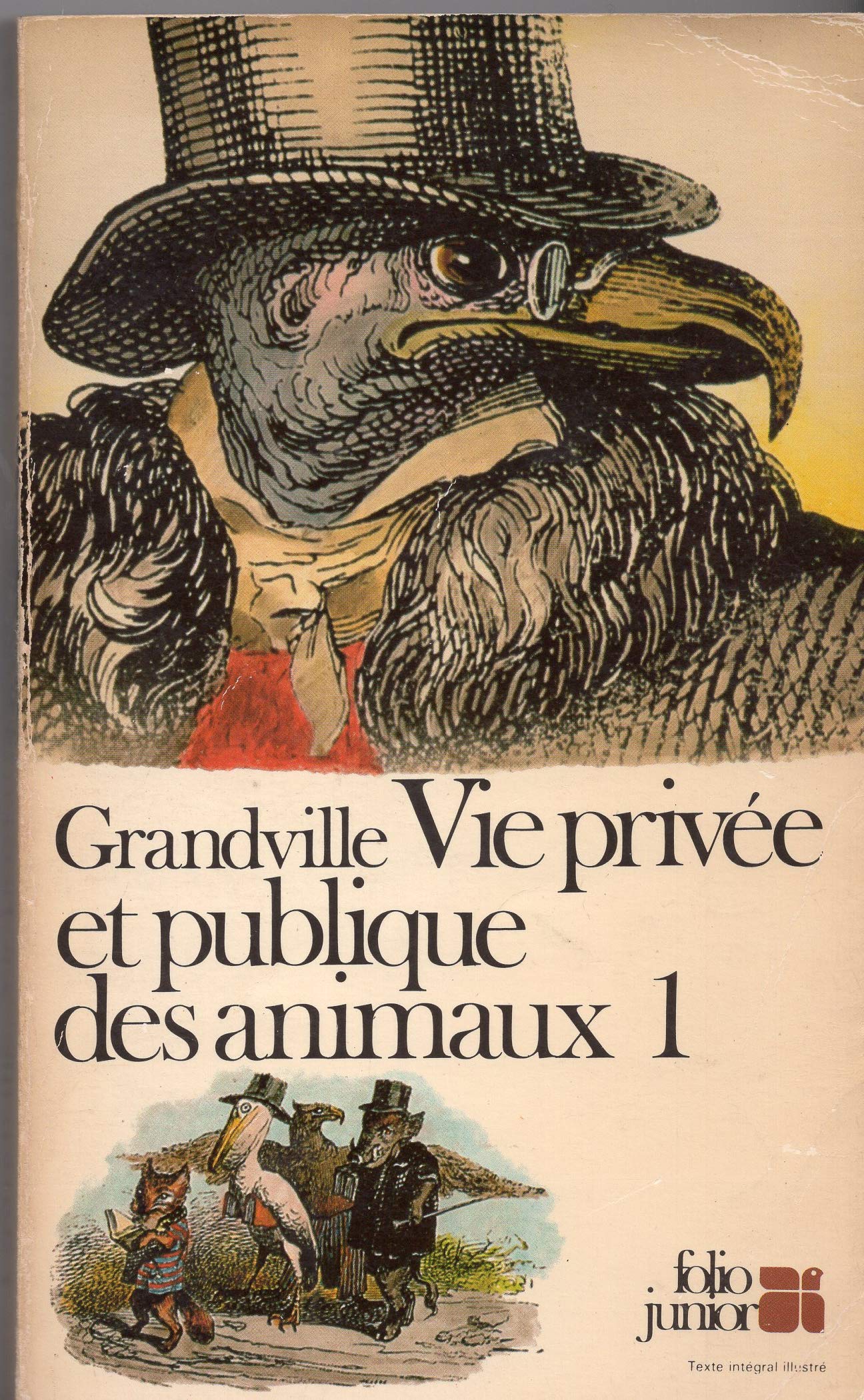 PEINES DE COEUR D'UNE CHATTE ANGLAISE 9782070330270