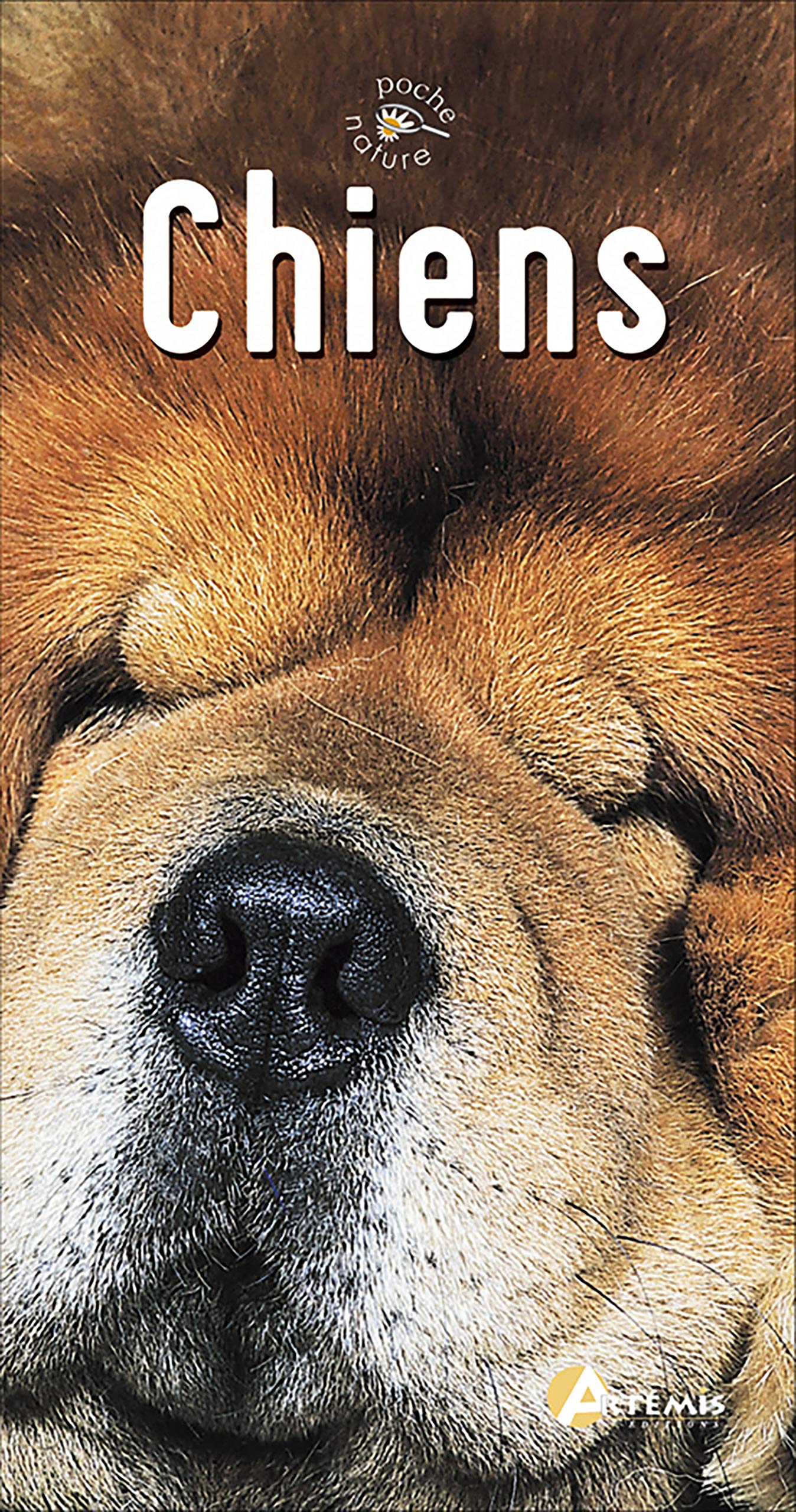 Chiens (0) 9782844162892