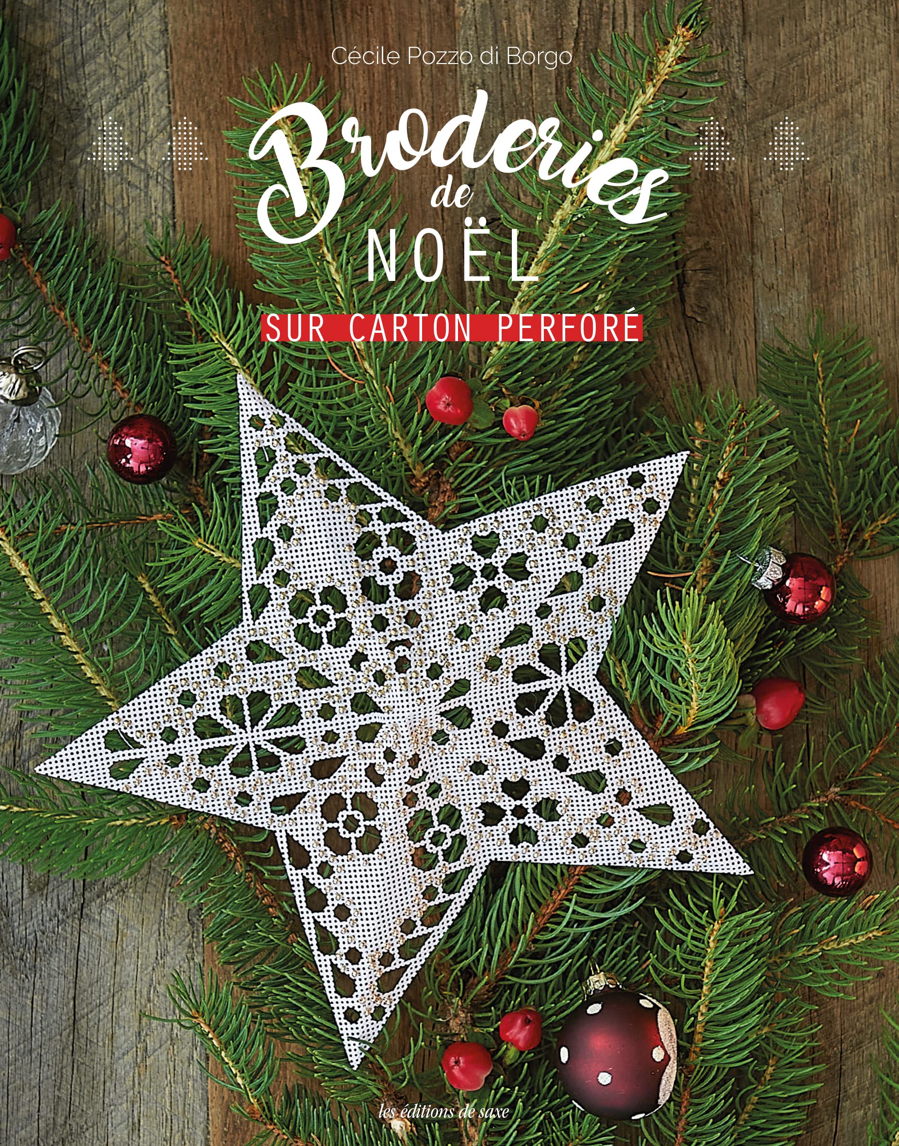 Broderies de Noël sur carton perforé 9782756536200
