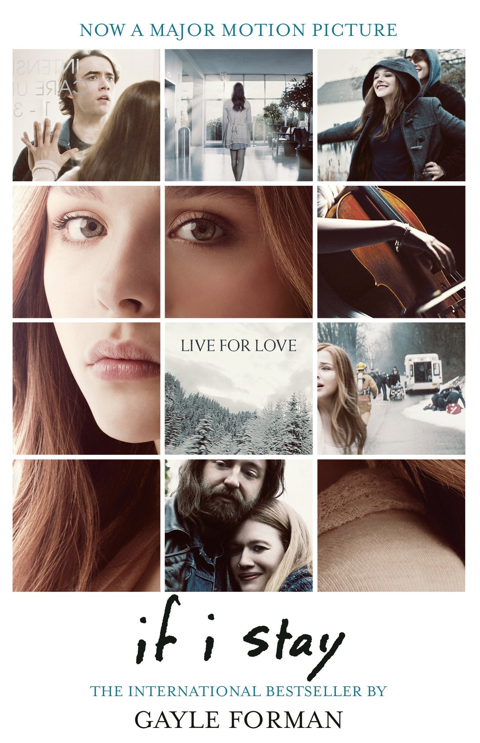 If I Stay 9781909531239