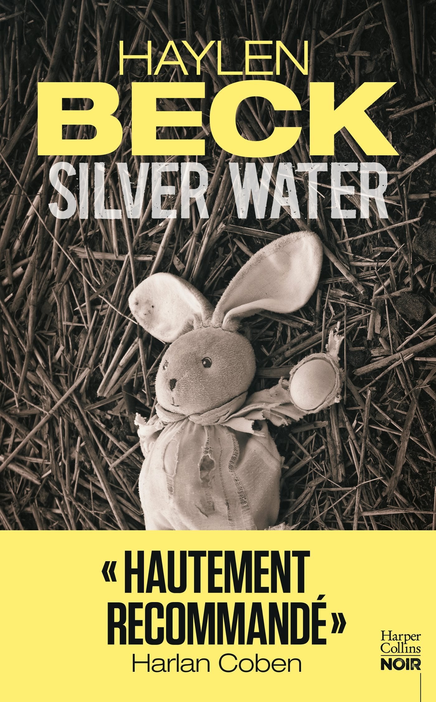 Silver Water: un thriller recommandé par Harlan Coben 9791033901792
