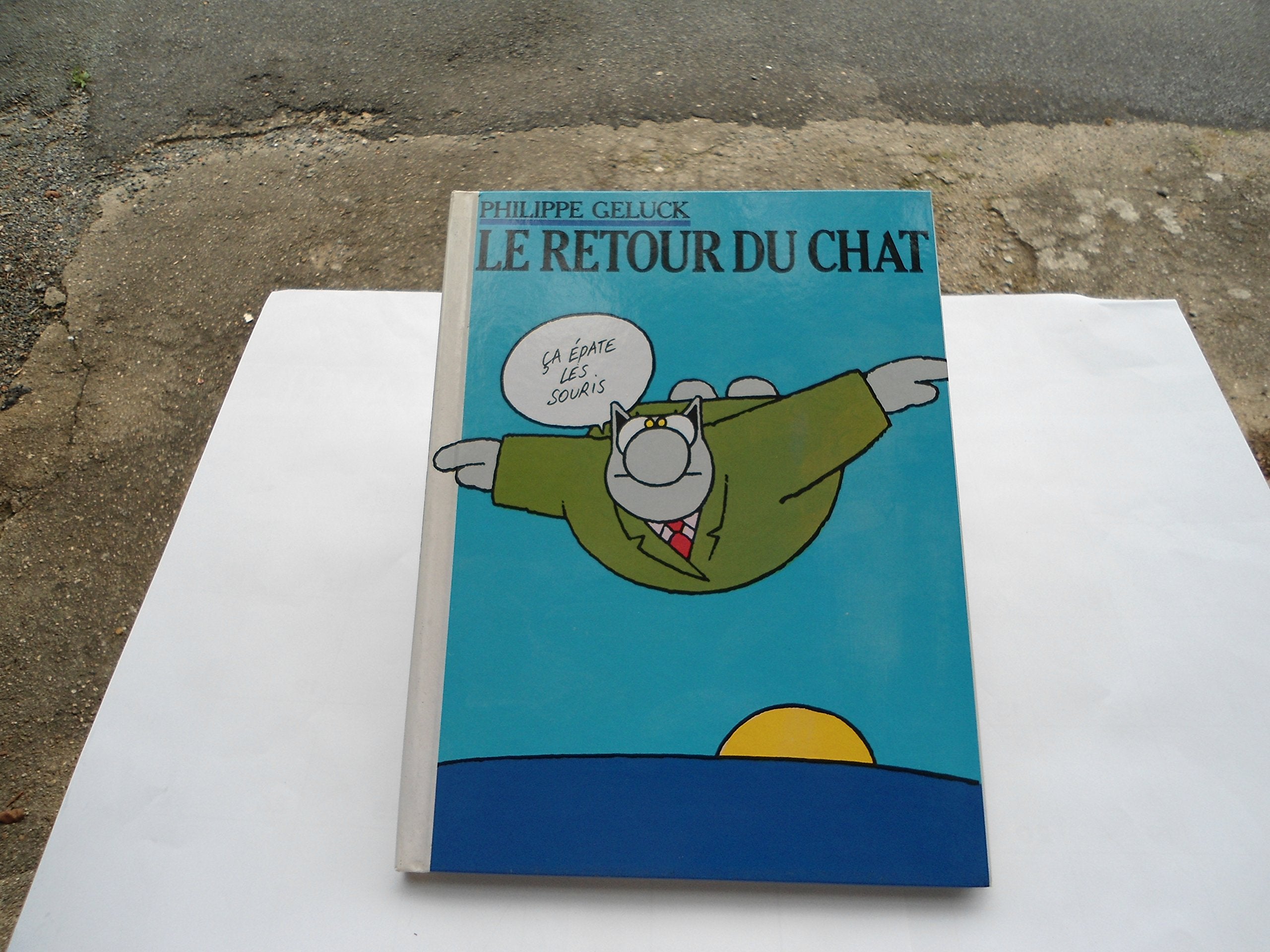Le Retour du chat 9782203340251