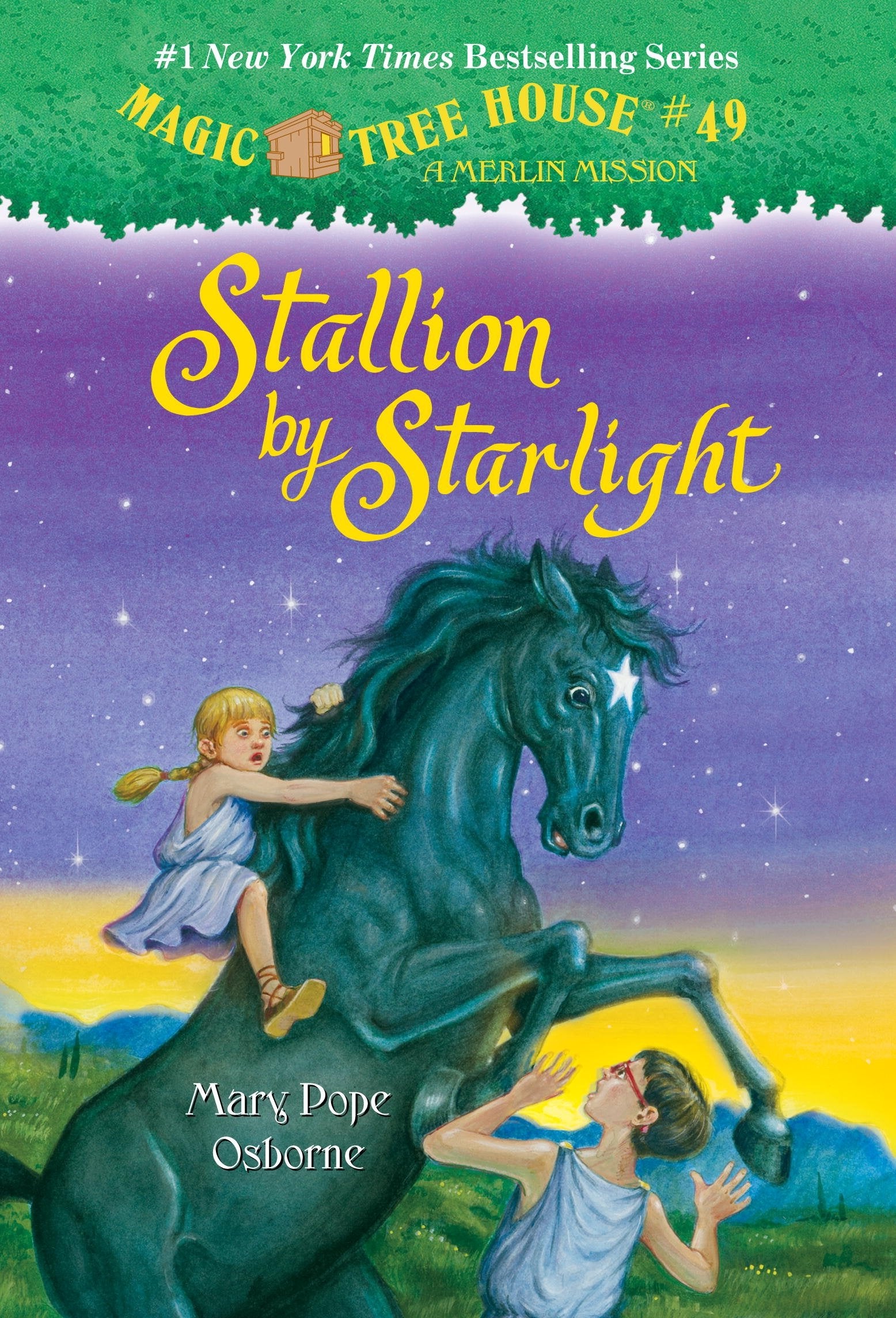 Stallion by Starlight 9780307980403