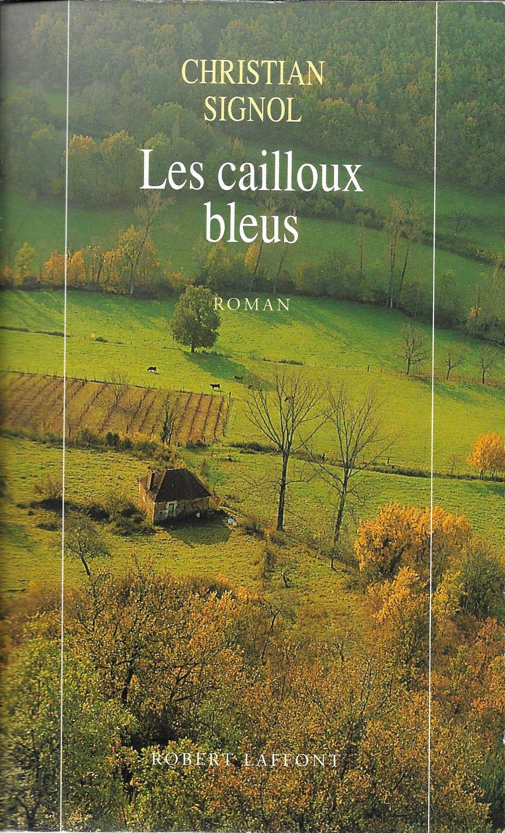 Les Cailloux bleus 9782221045145