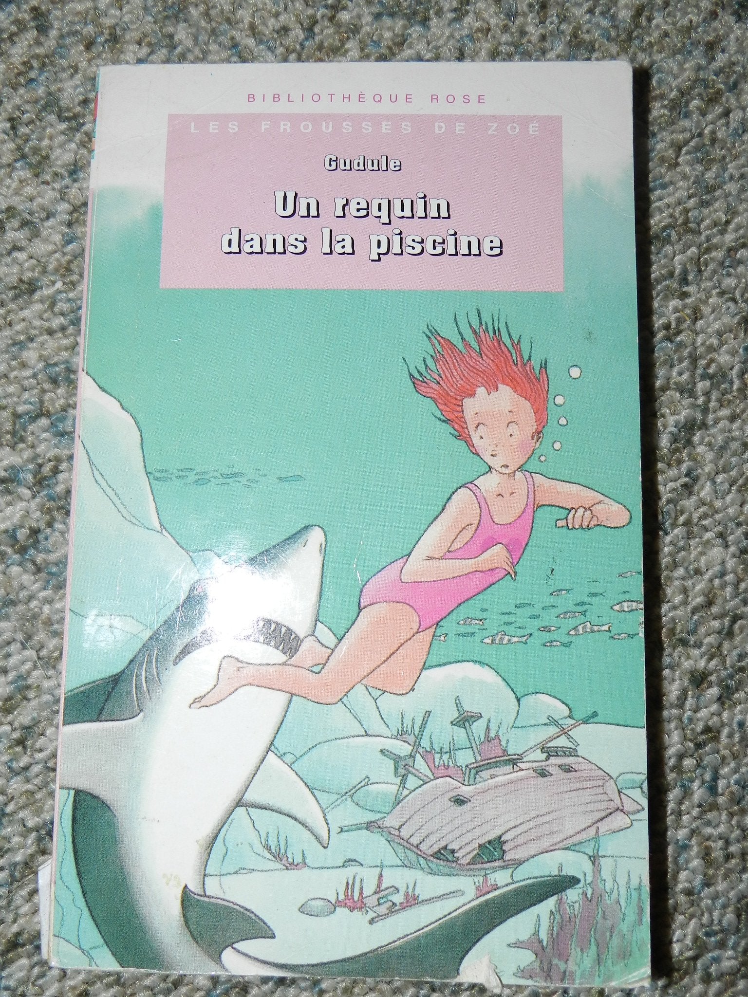 Un requin dans la piscine 9782012096400