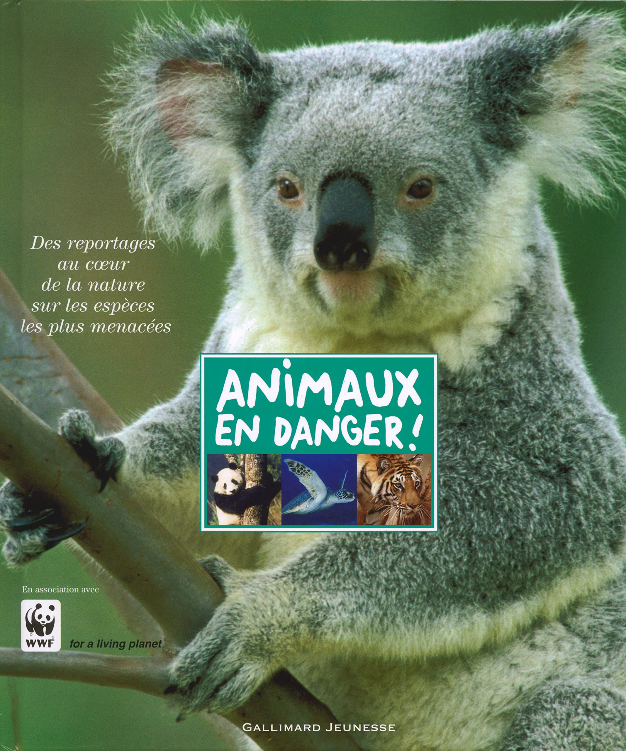 ANIMAUX EN DANGER 9782070570577