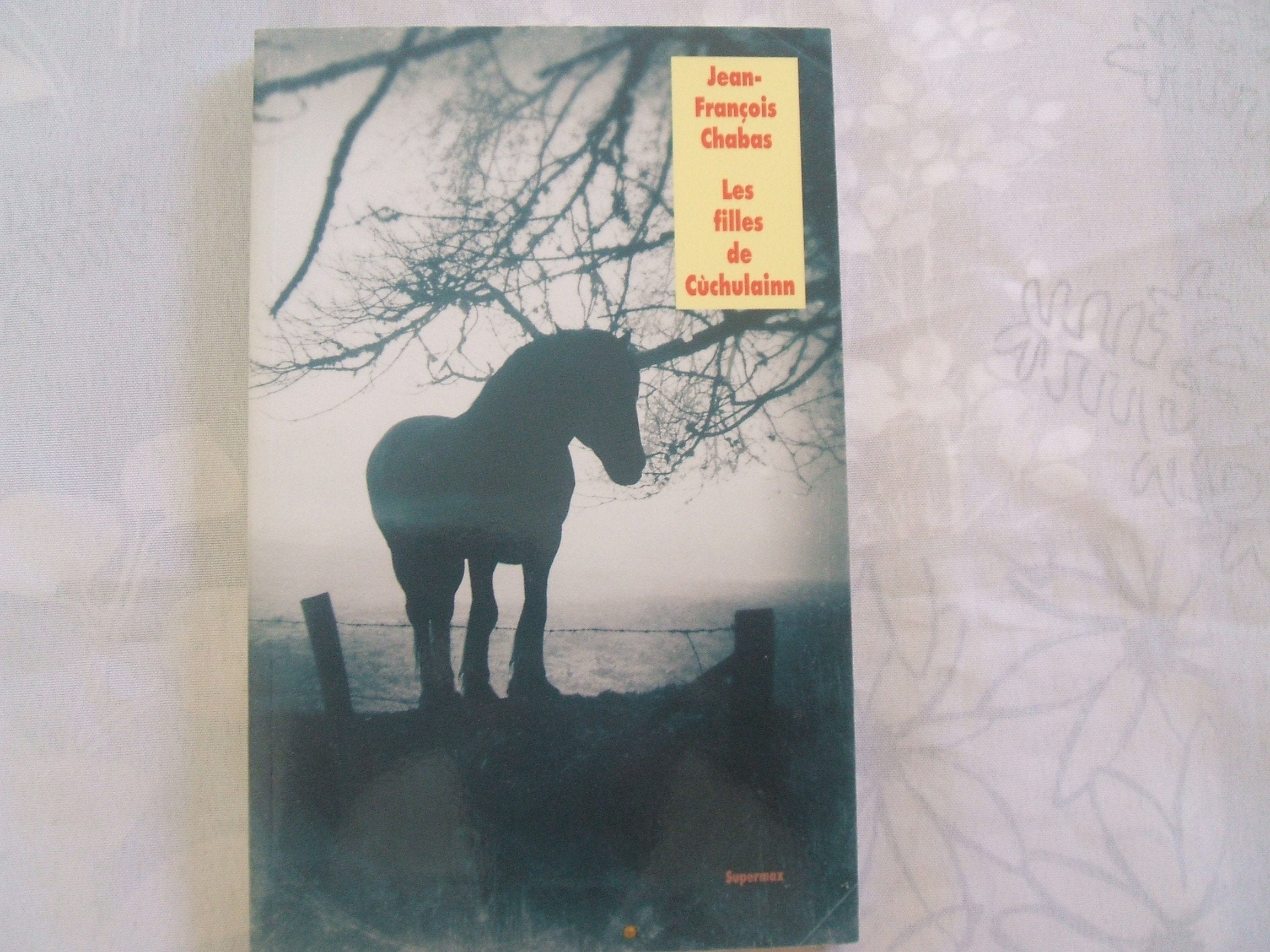 Filles de cuchulainn (Les) 9782211220606