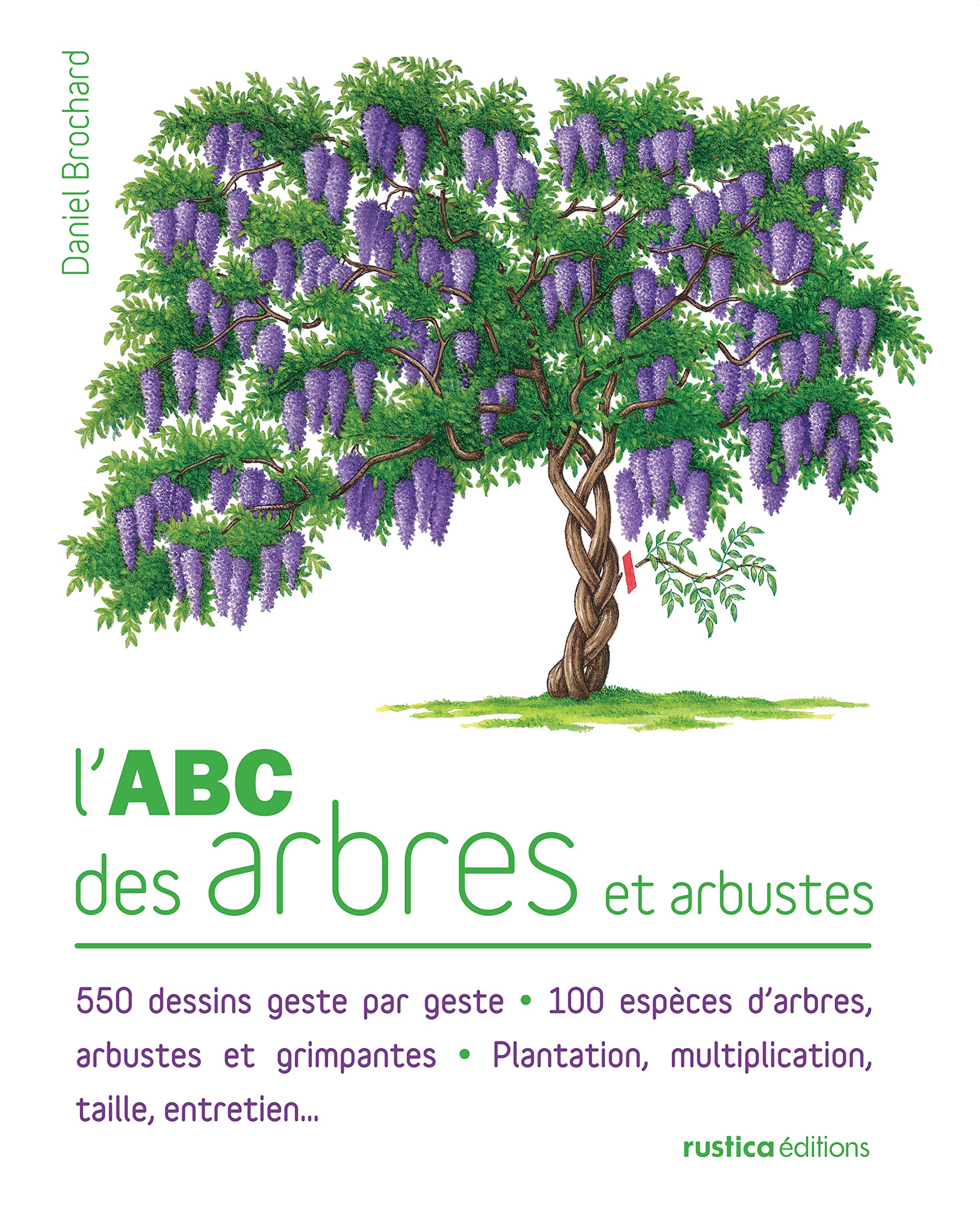 L'ABC des arbres et arbustes: 550 dessins geste par geste - 100 espèces d'arbres, arbustes et grimpantes - Plantation, multiplicat 9782815300780