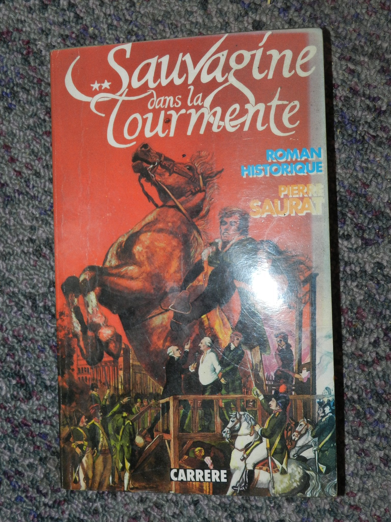 Sauvagine dans la tourmente (La Sauvagine) 9782868042934