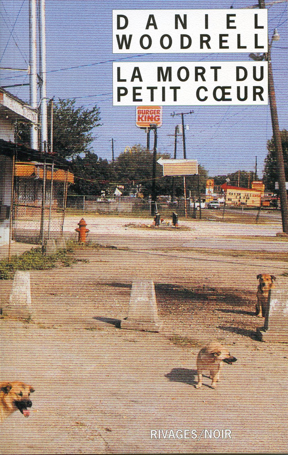 La Mort du petit coeur 9782743609351