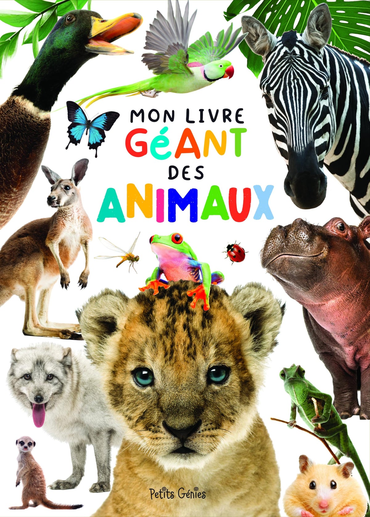 Mon livre géant des animaux 9781773882956