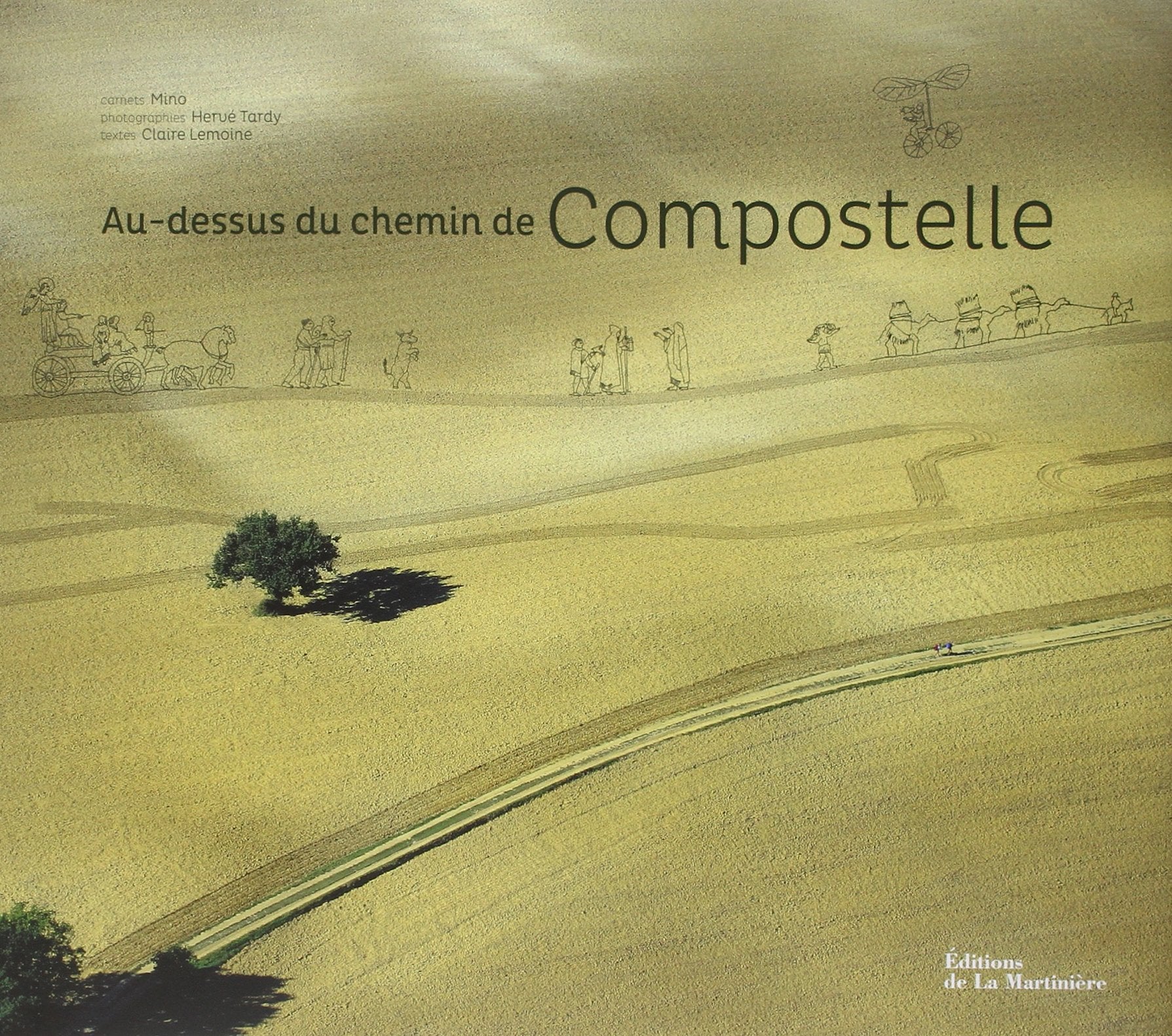 Au-dessus du chemin de Compostelle 9782732450483