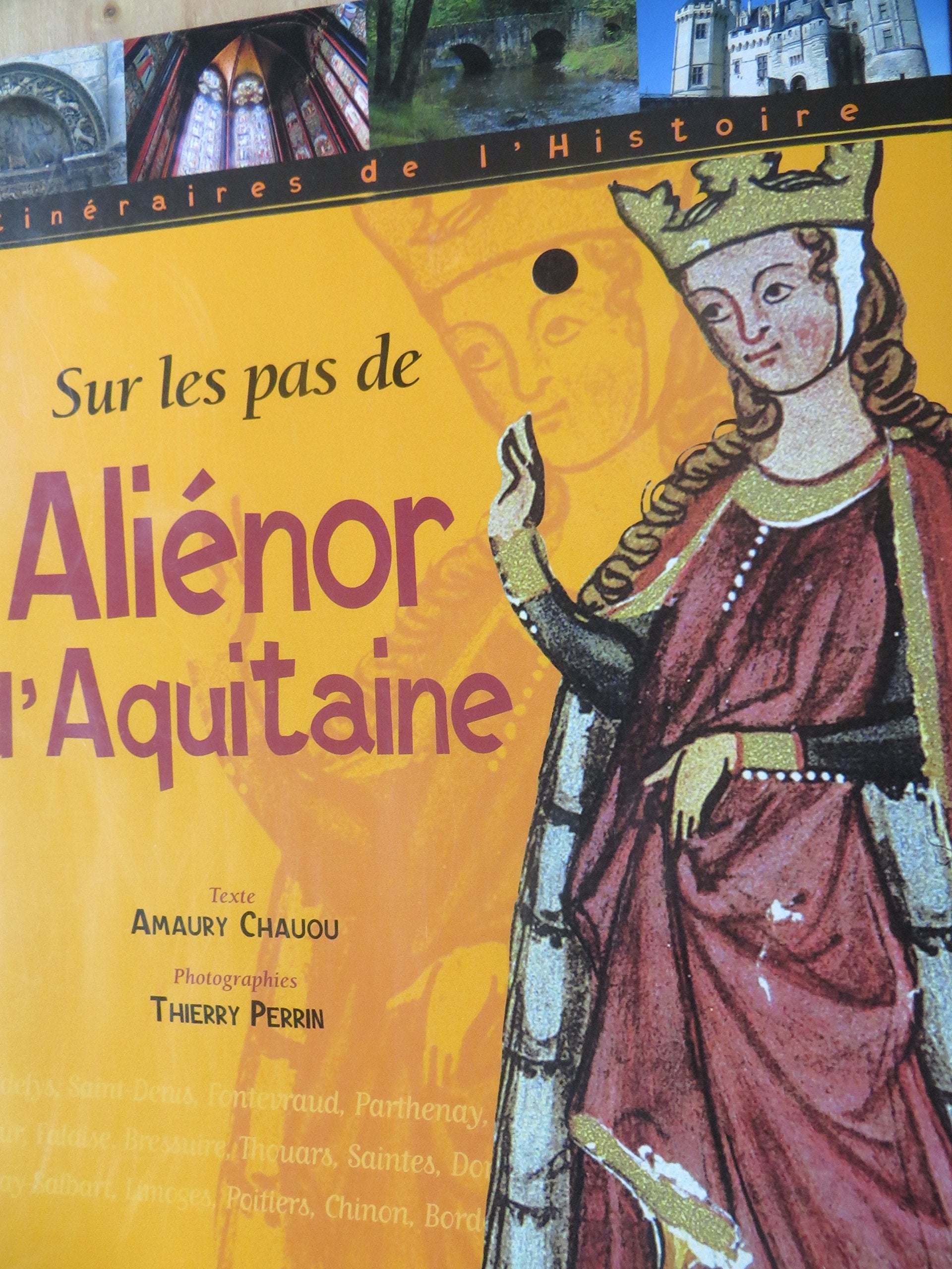 Sur les pas d'Aliénor d'Aquitaine 9782737333637
