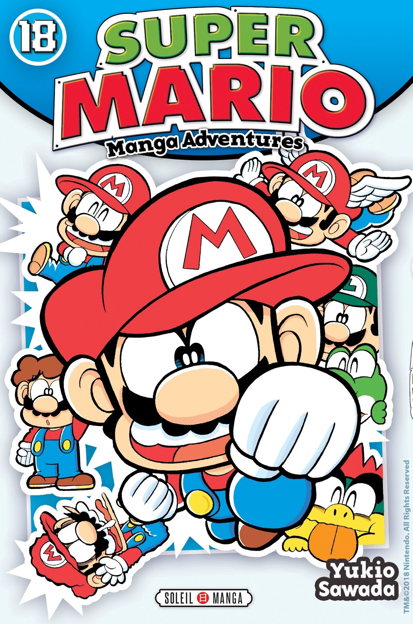 Super Mario Manga Adventures T18 9782302071513