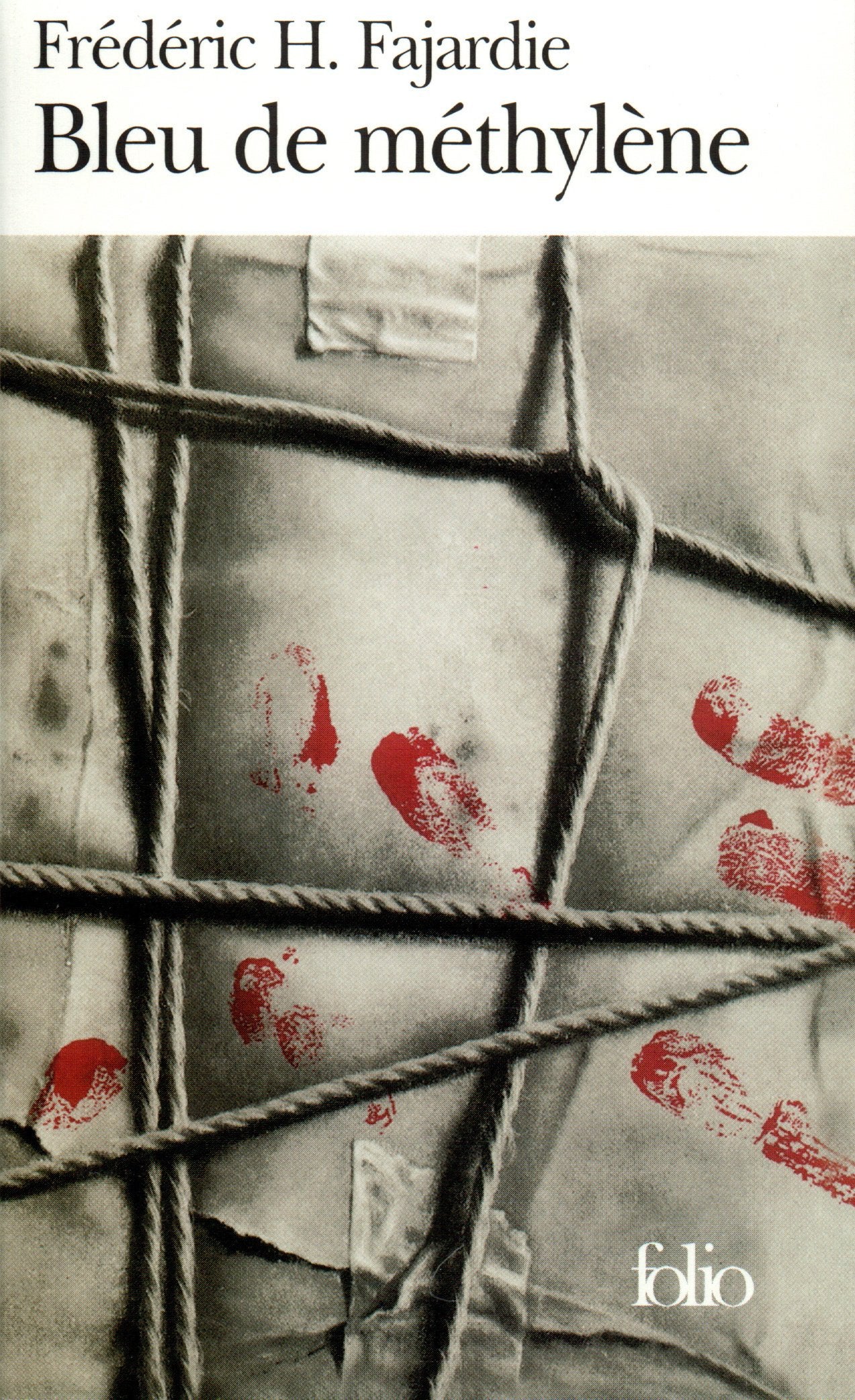 Bleu de méthylène 9782070394791