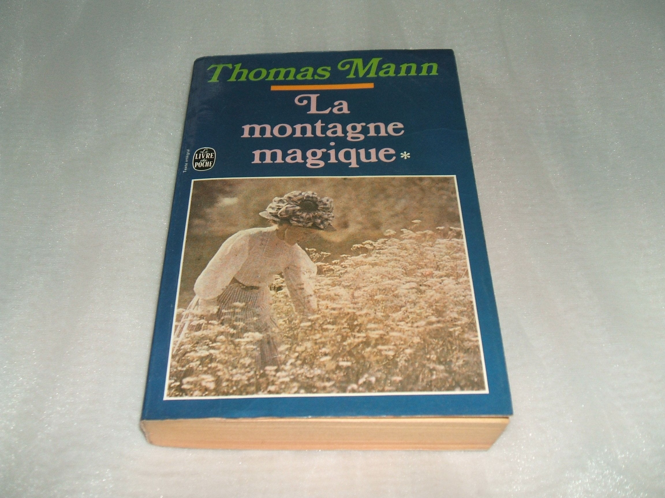 La Montagne magique (tome 1) 9782253018445