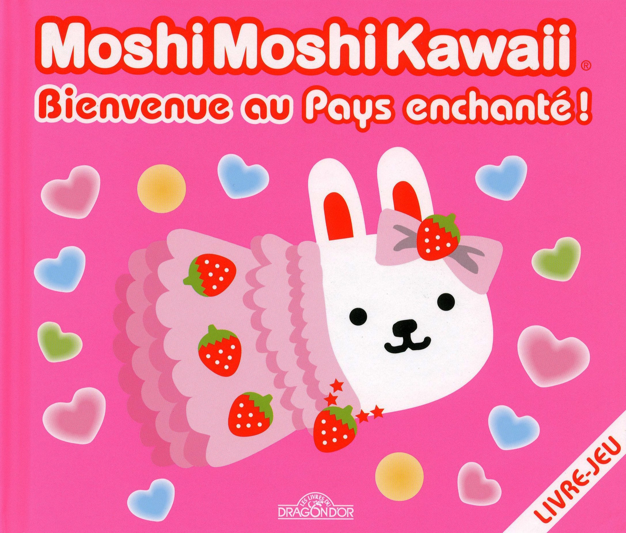 BIENVENUE AU PAYS ENCHANTE 9782878810776