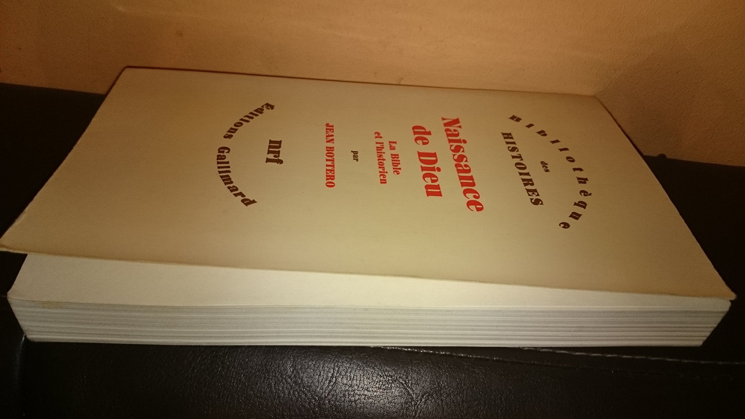 Naissance de Dieu / la Bible et l'historien 9782070705924