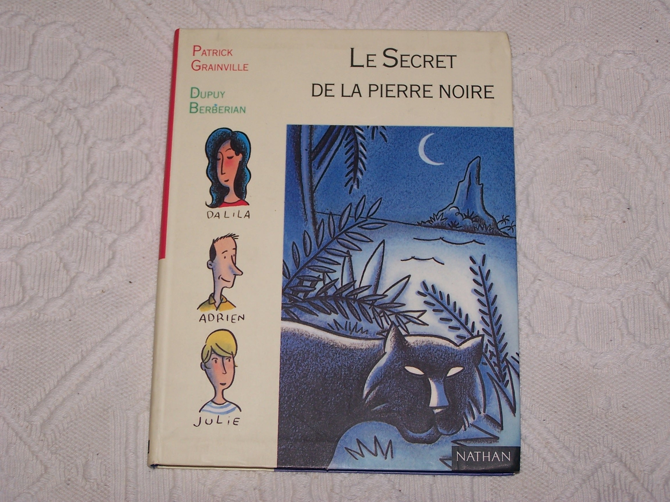 Le secret de la pierre noire 9782092821411