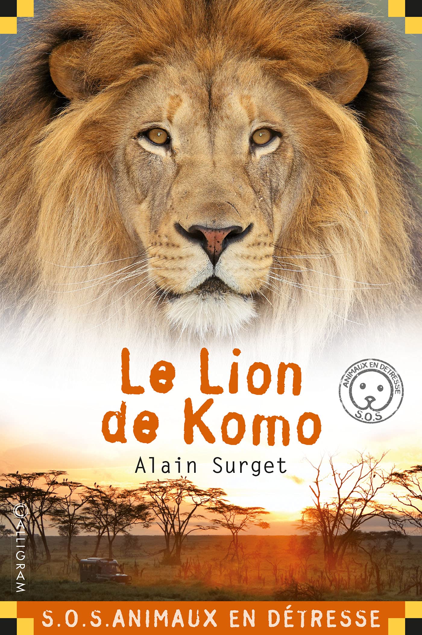 Le Lion de Komo 9782884805865