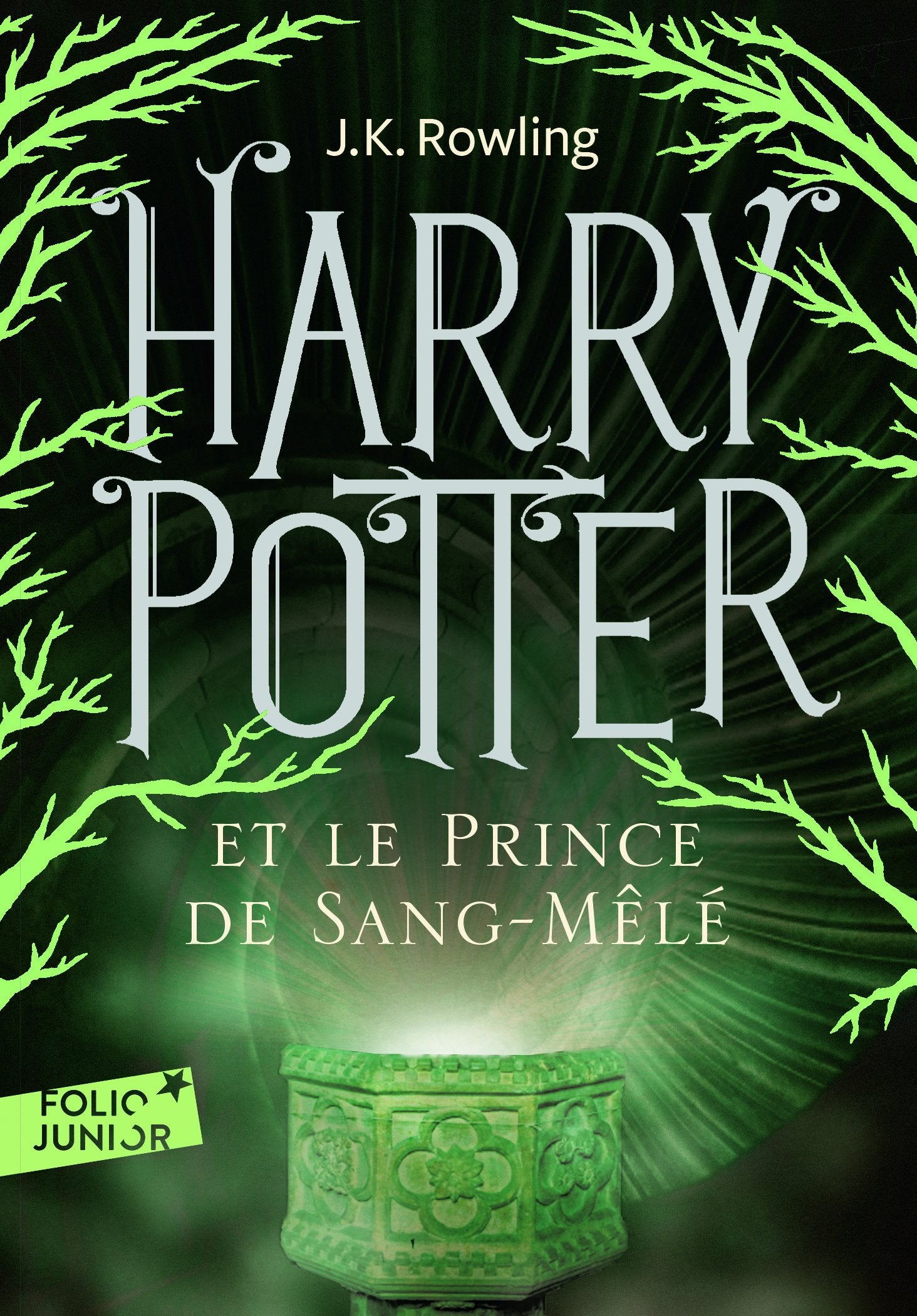 Harry Potter, VI : Harry Potter et le Prince de Sang-Mêlé 9782070643073