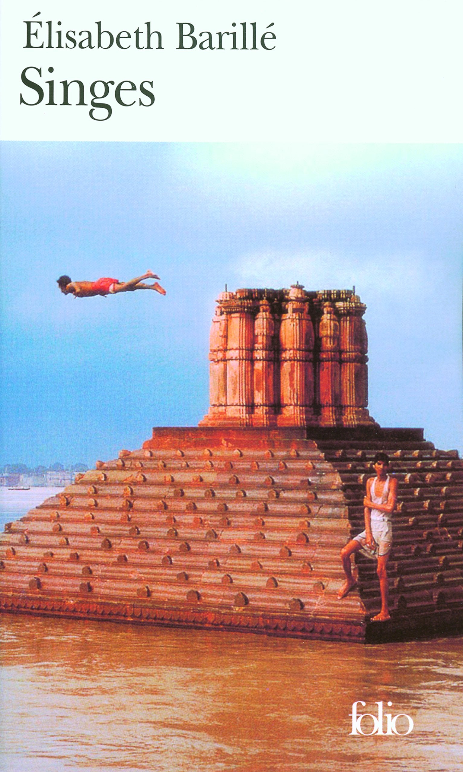 Singes 9782070326419