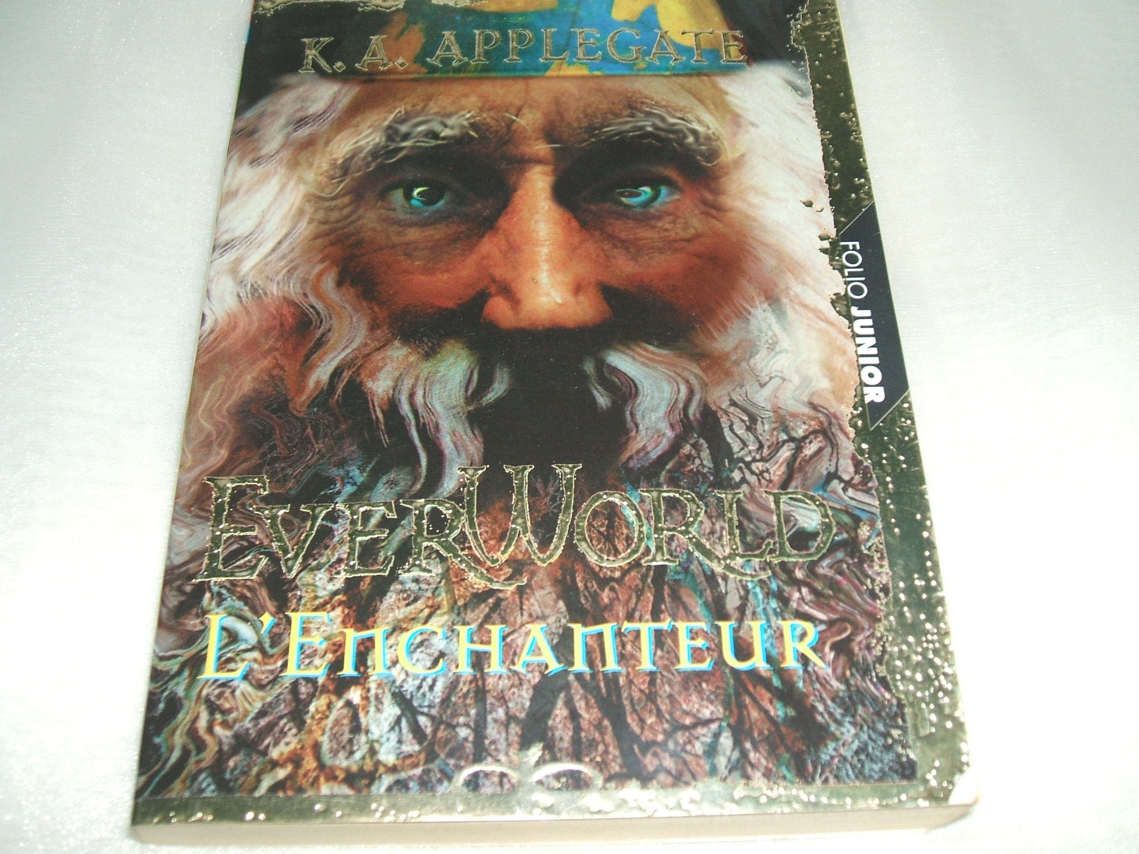 Everworld, tome 3 : l'enchanteur 9782070543687