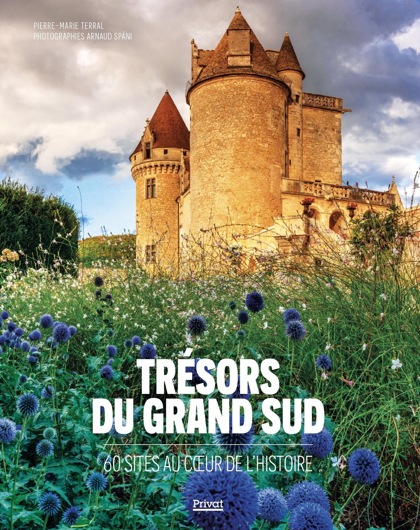 Trésors du grand Sud: 60 sites au coeur de l'histoire 9782708983960