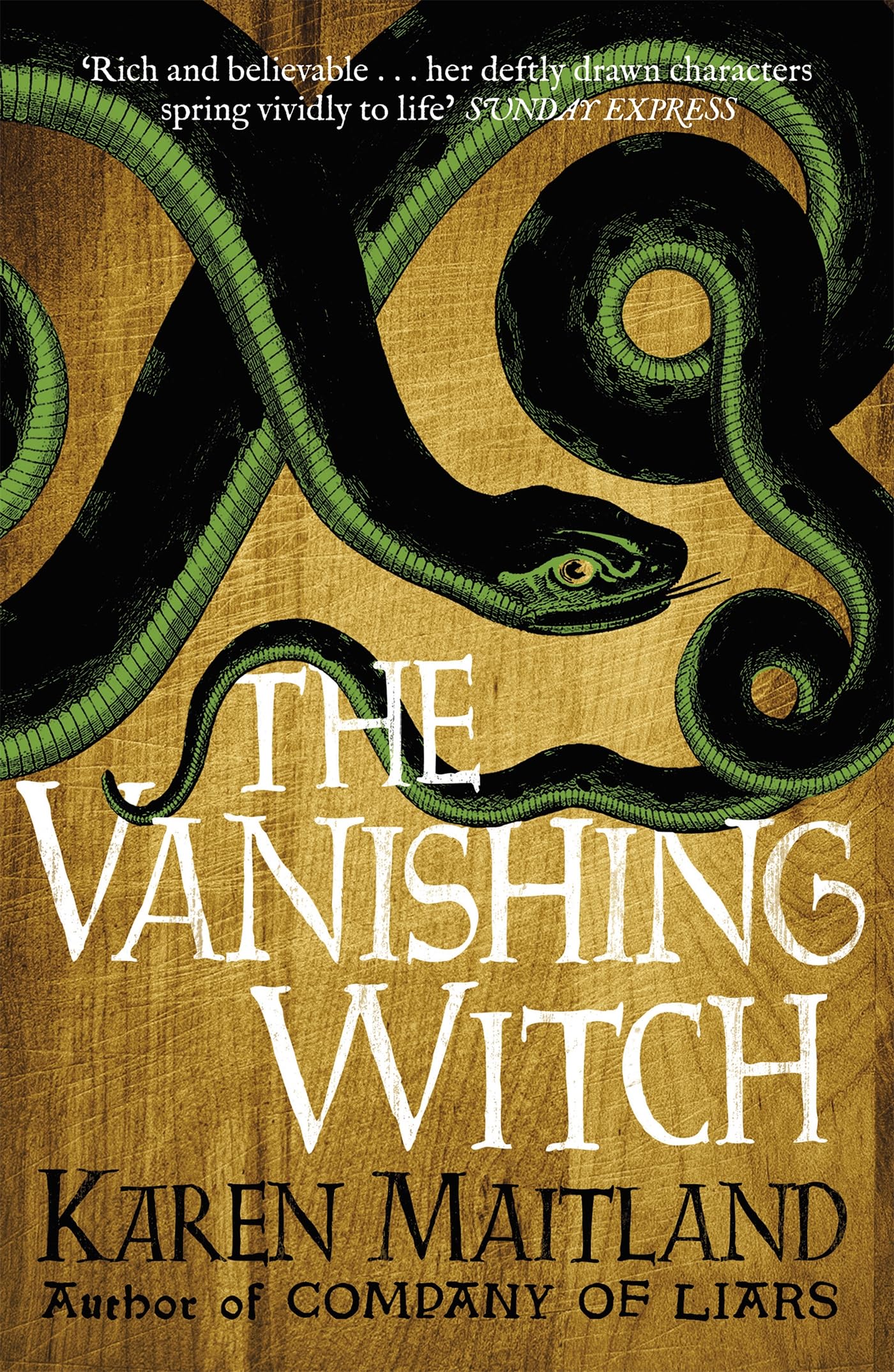 The Vanishing Witch: A dark historical tale of witchcraft and rebellion 9781472215031