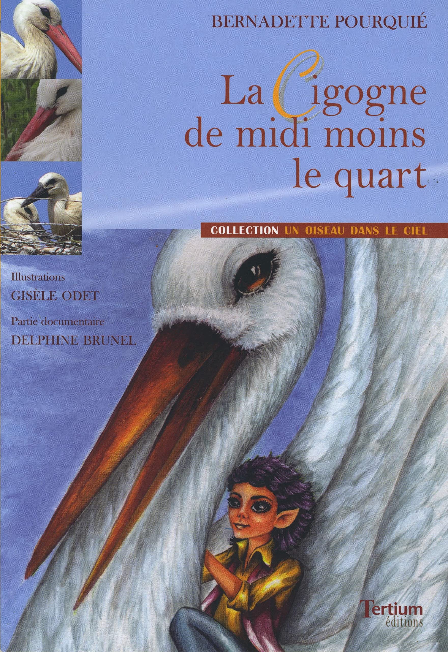 La cigogne de midi moins le quart 9782916132129