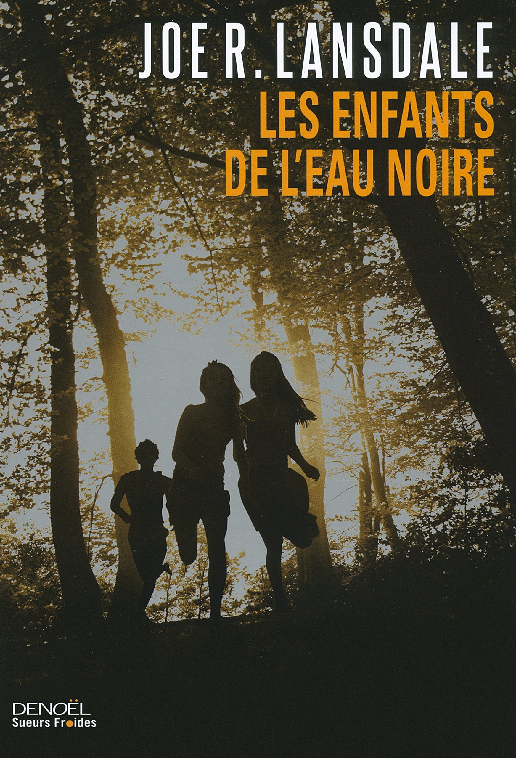 Les Enfants de l'eau noire 9782207118528