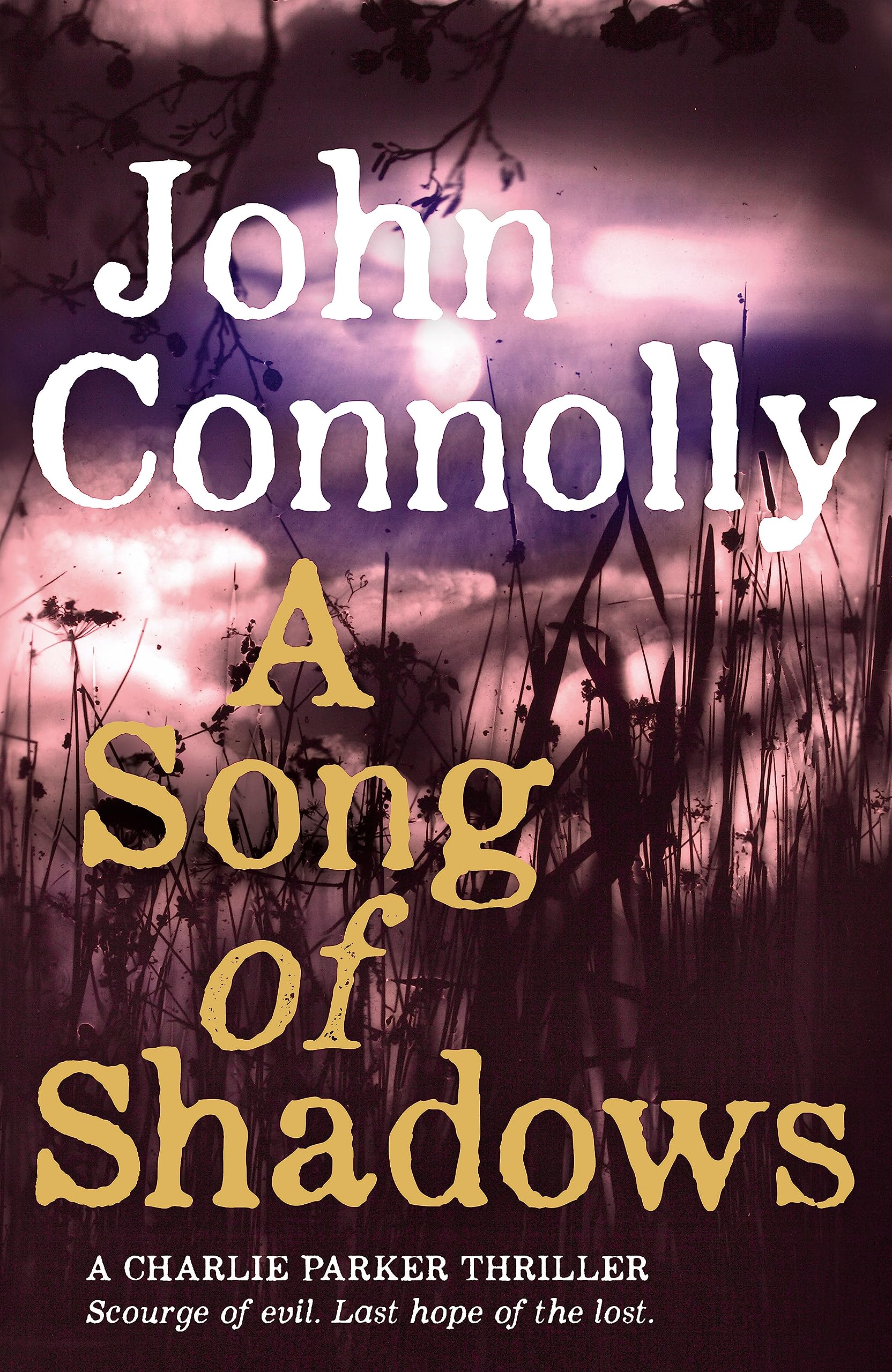A Song of Shadows: A Charlie Parker Thriller: 13 9781444751512