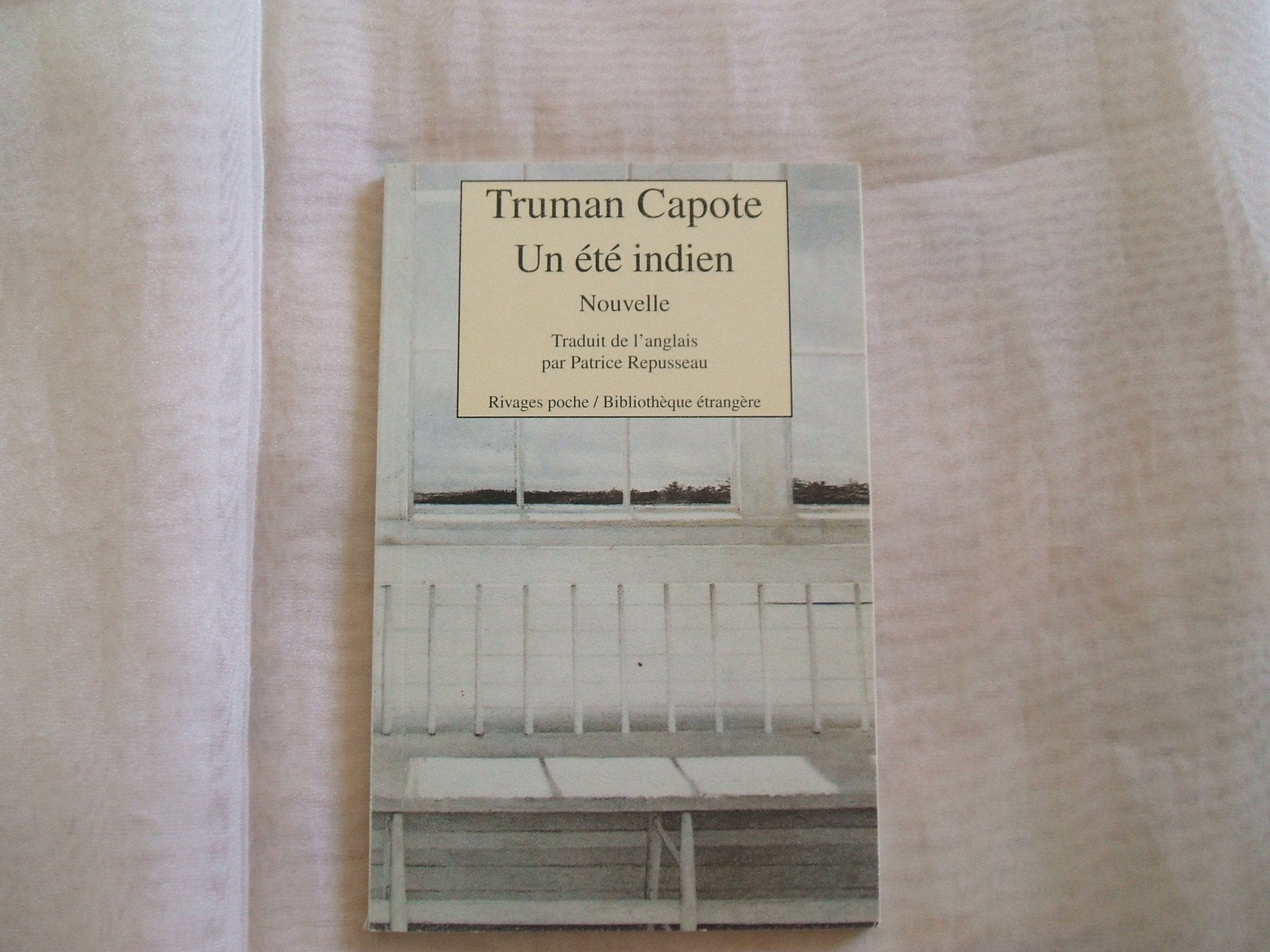 Un été indien 9782869302914