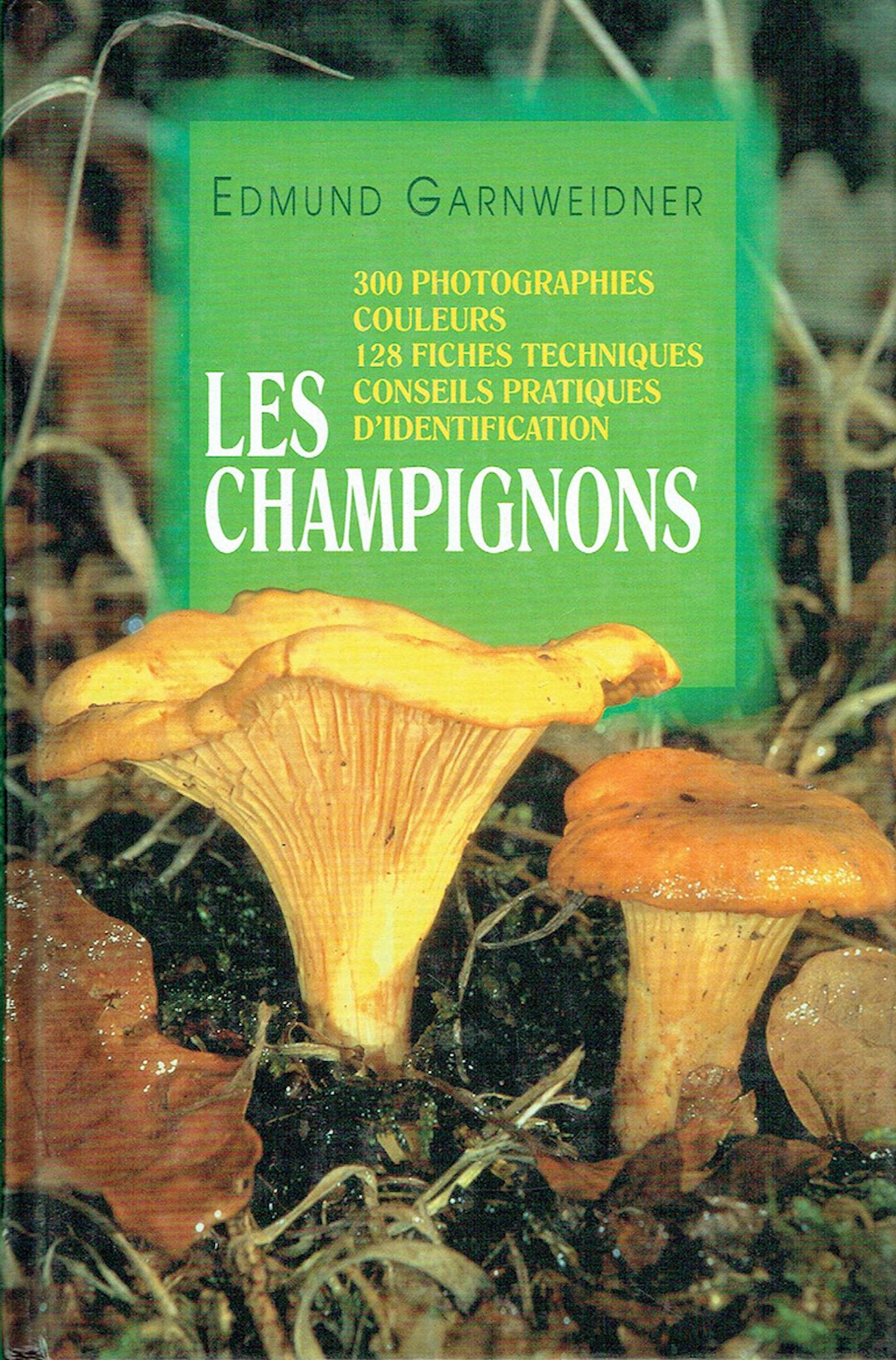 Les champignons 9782092784457