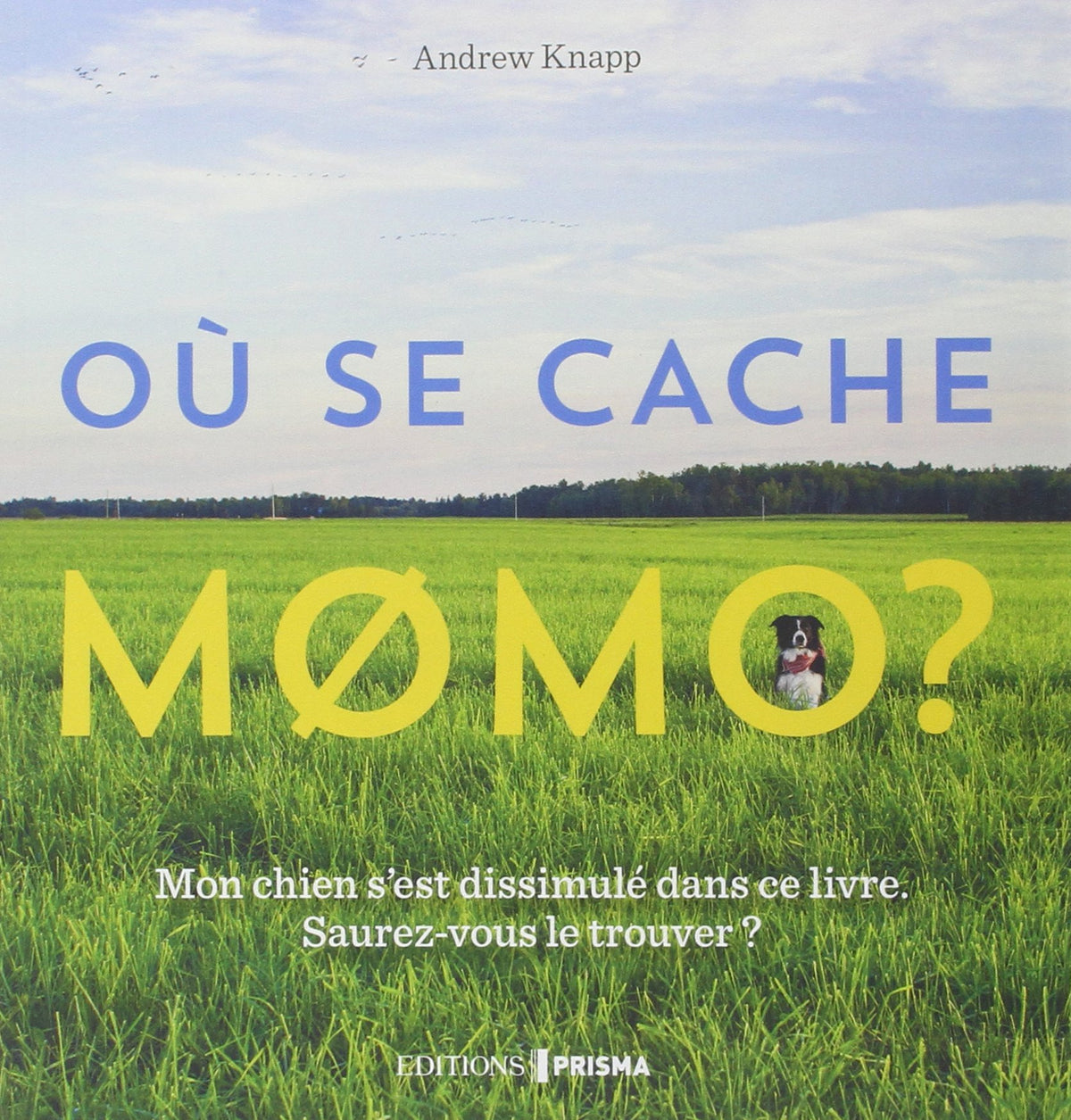 Où se cache Momo ? 9782810413508
