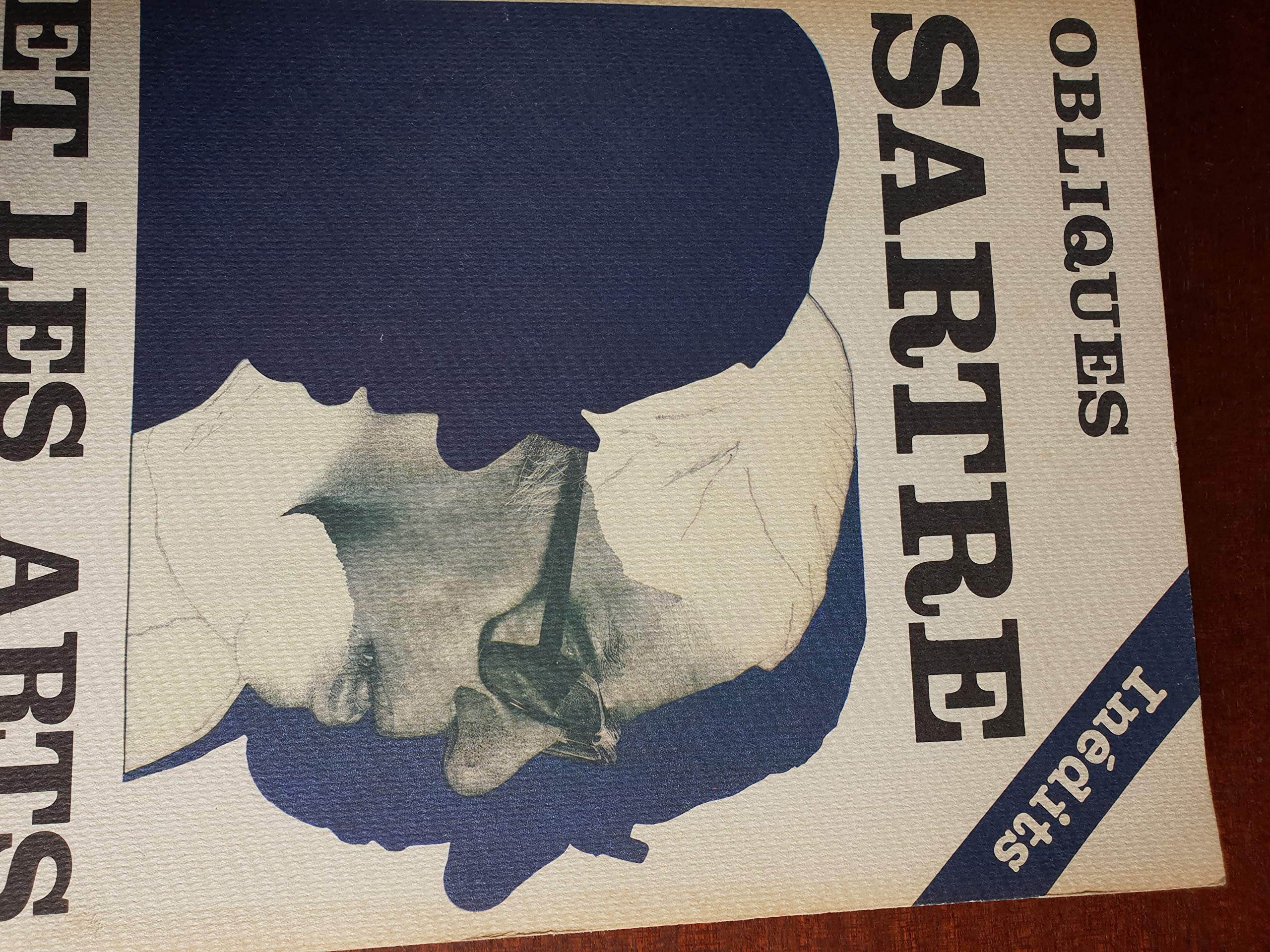 Obliques numero 24 25 sartre et les arts