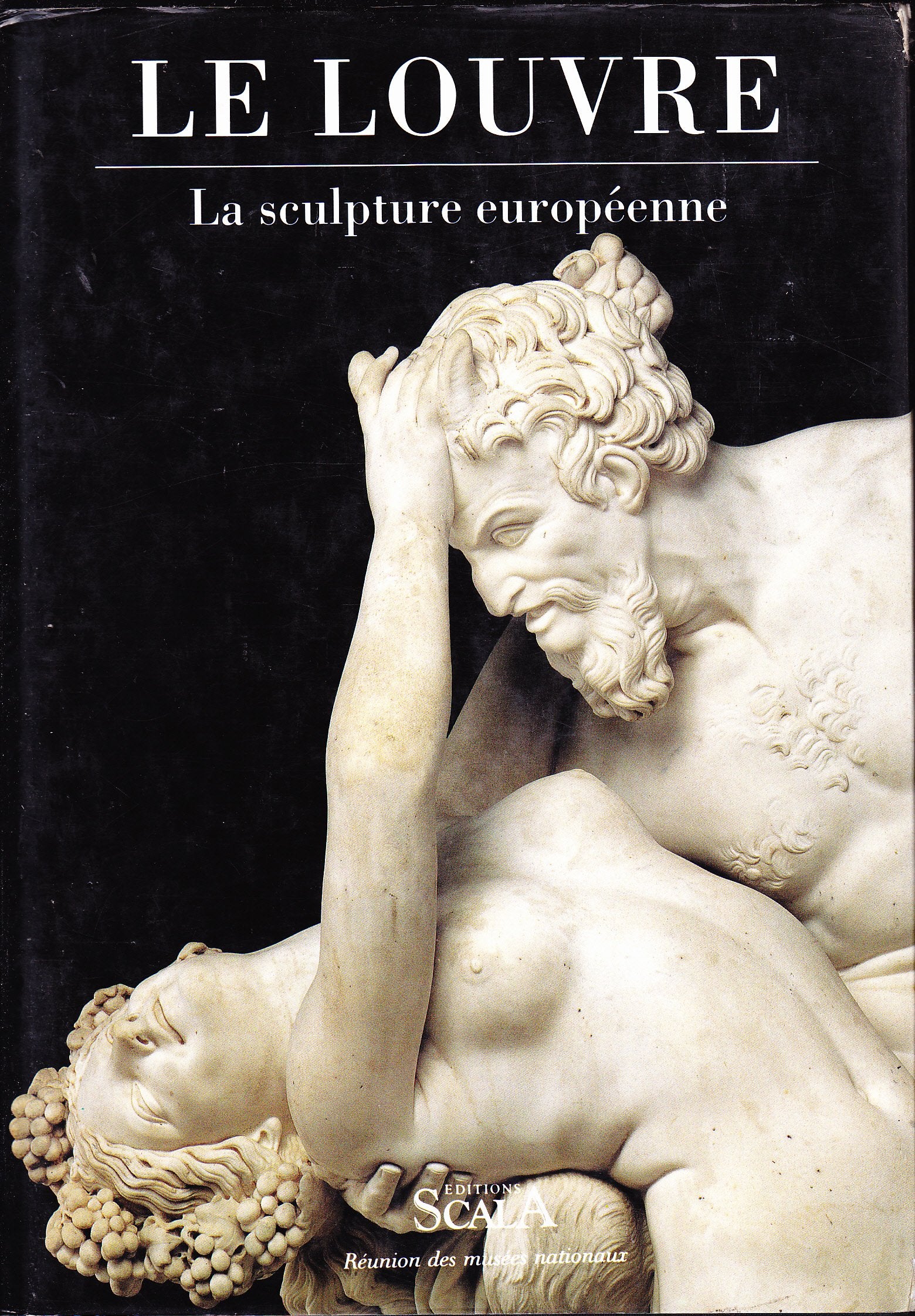 Le Louvre : La Sculpture Europeenne 9782866561260