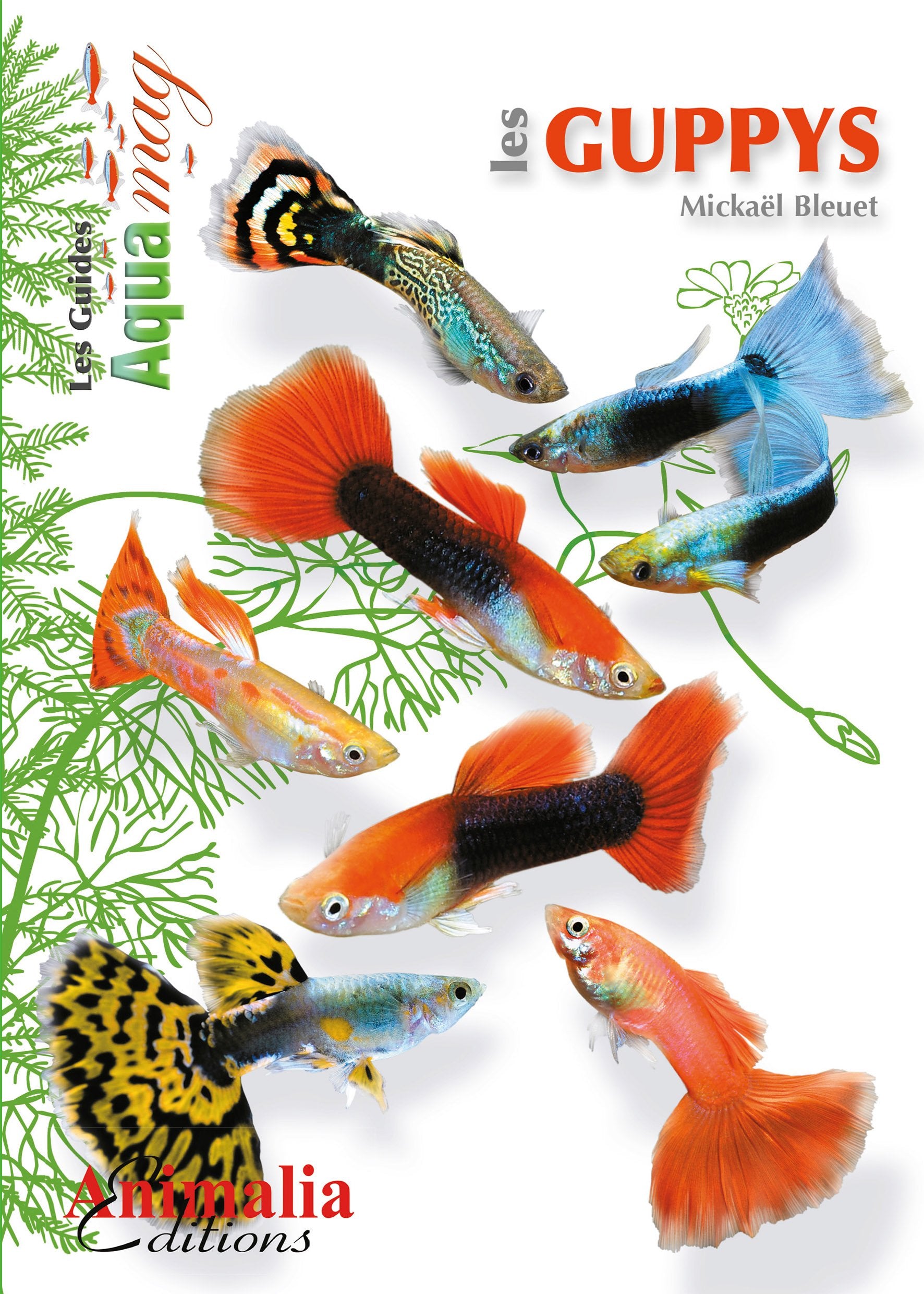 Les guppys 9782359090659