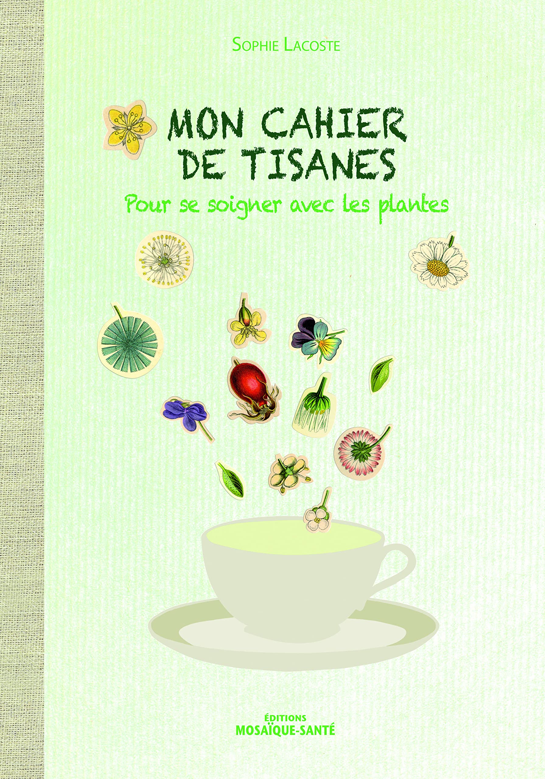 Mon cahier de tisanes: pour se soigner avec les plantes 9782849390498
