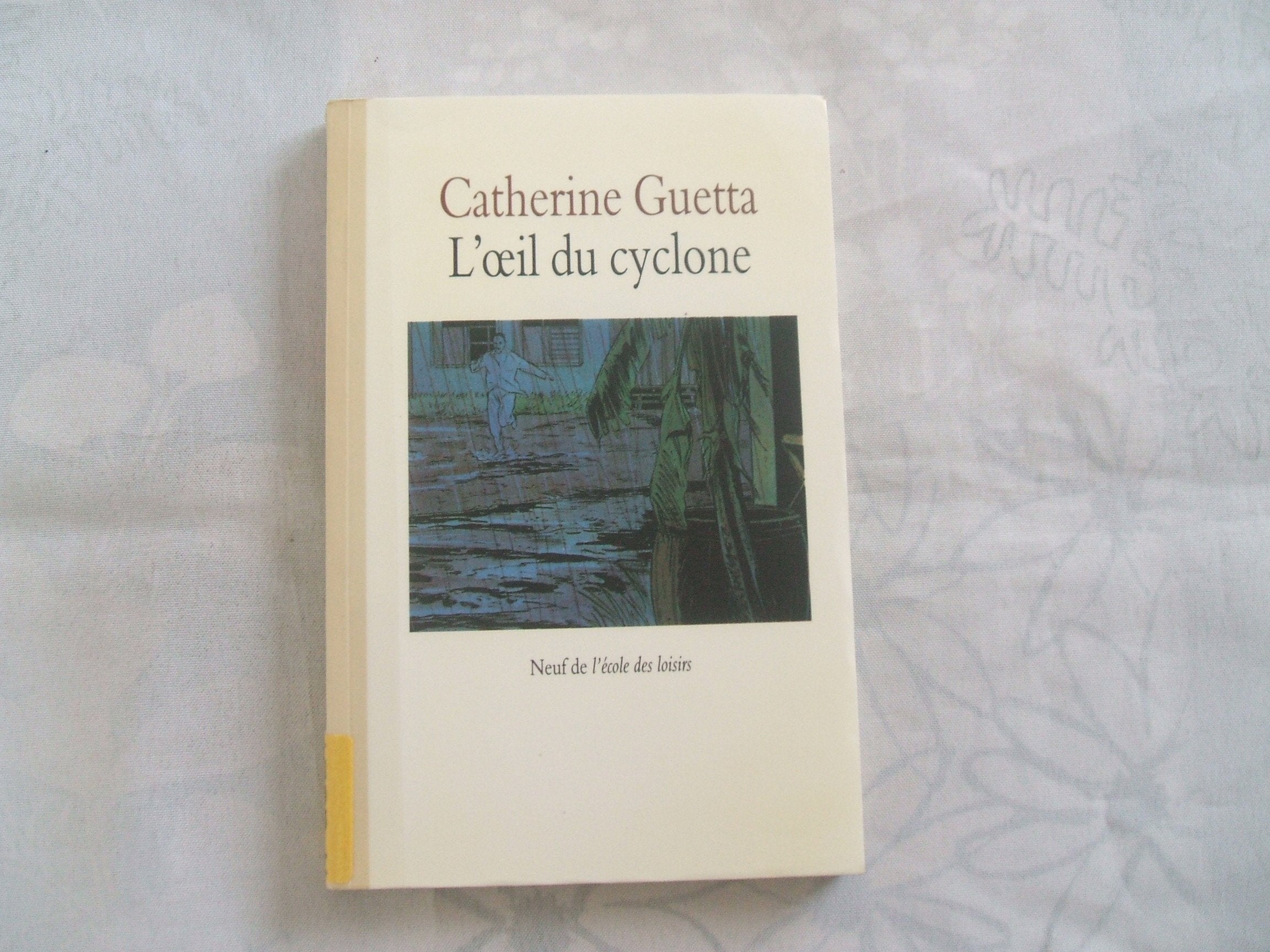 L'Oeil du cyclone 9782211031479