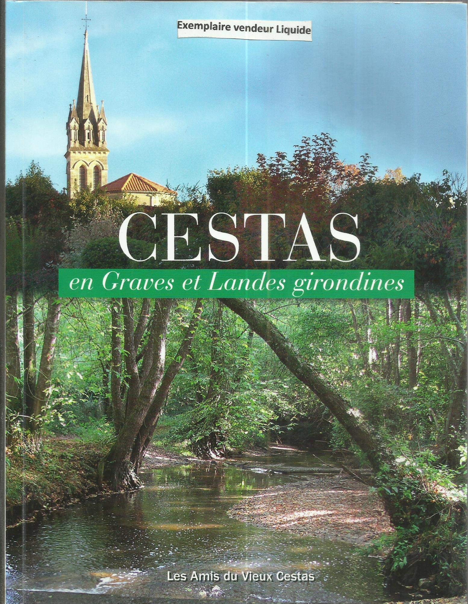 Cestas en Graves et Landes girondines 9782746652606