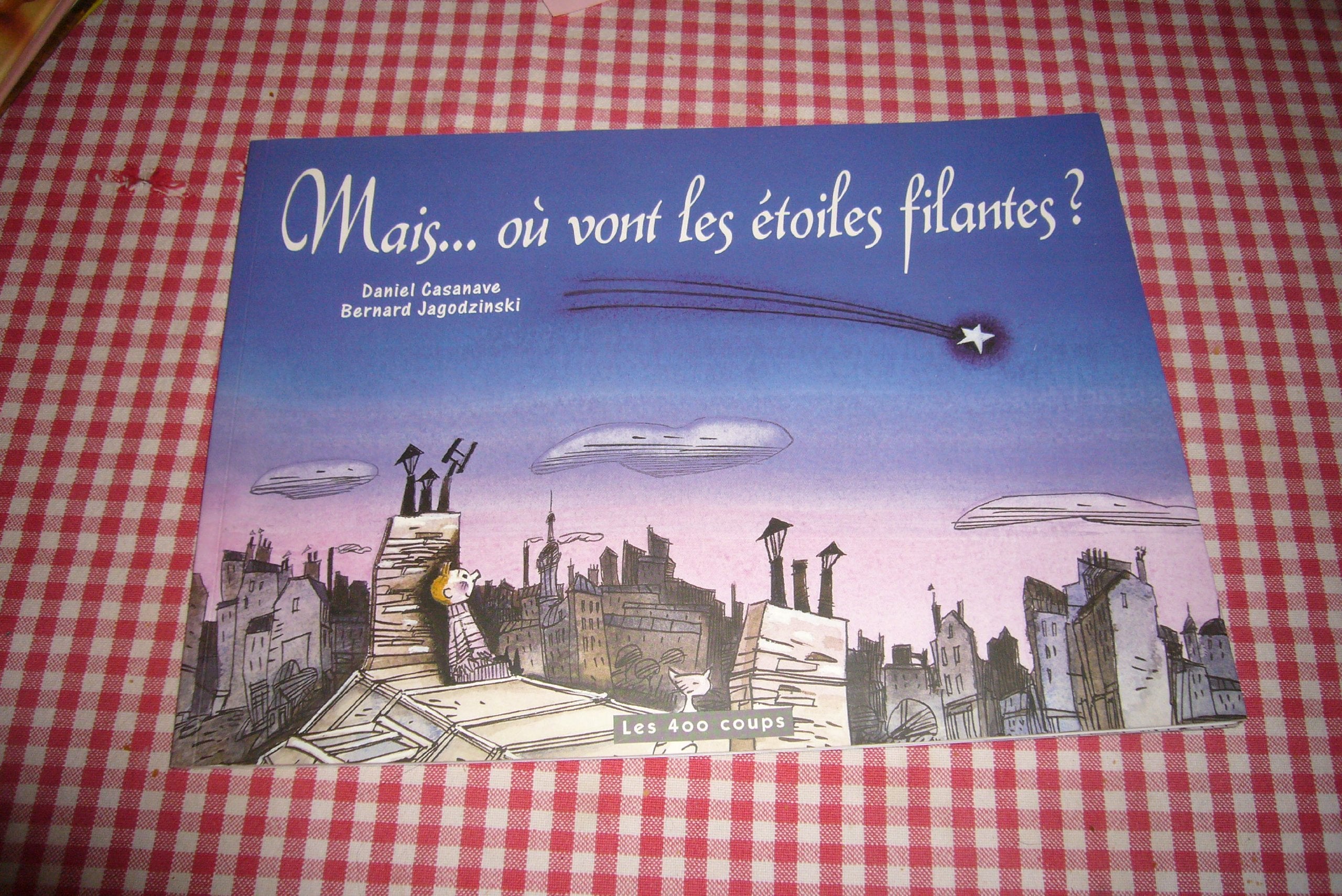 Où vont les étoiles filantes ? 9782845960268