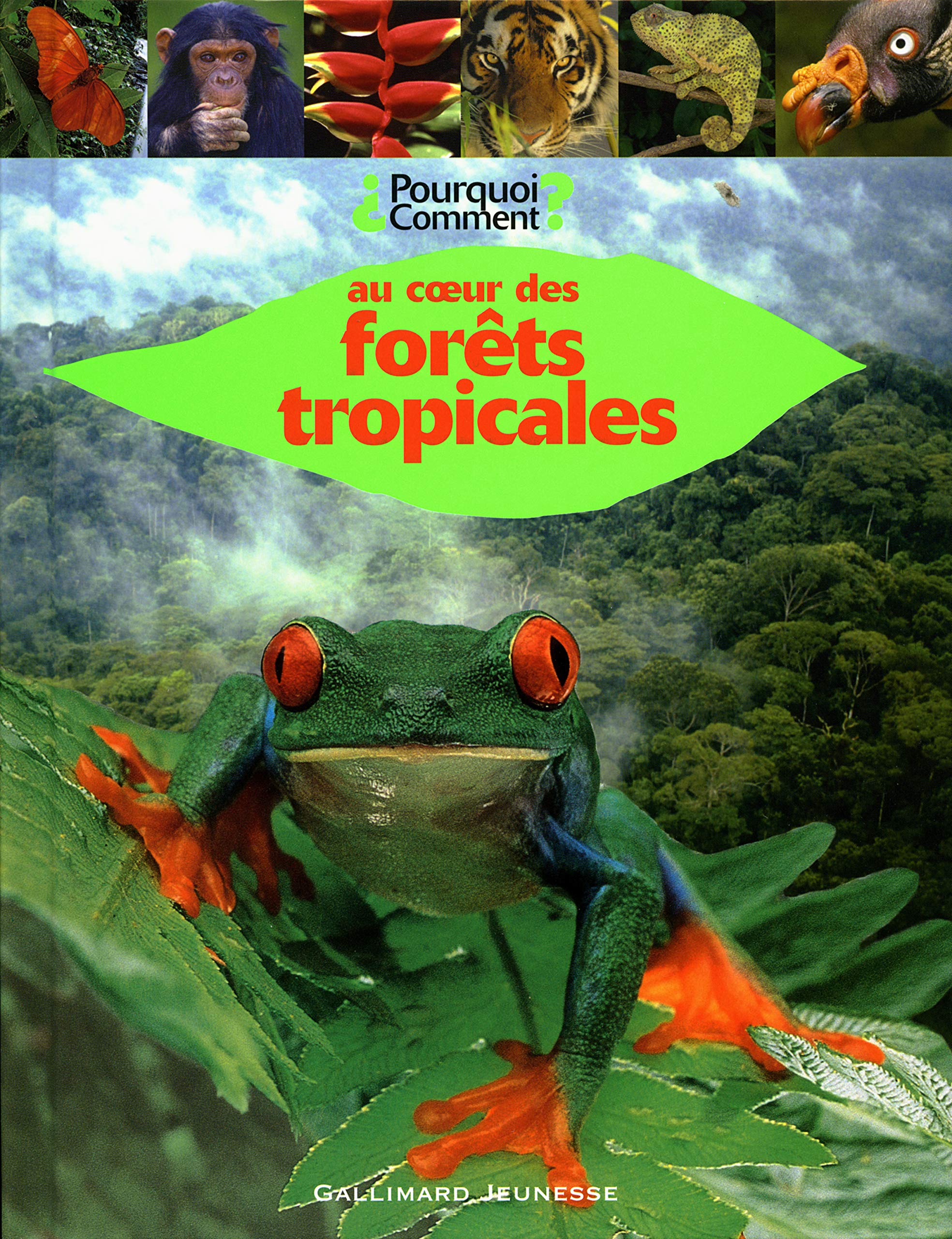 Au cœur des forêts tropicales 9782070519477
