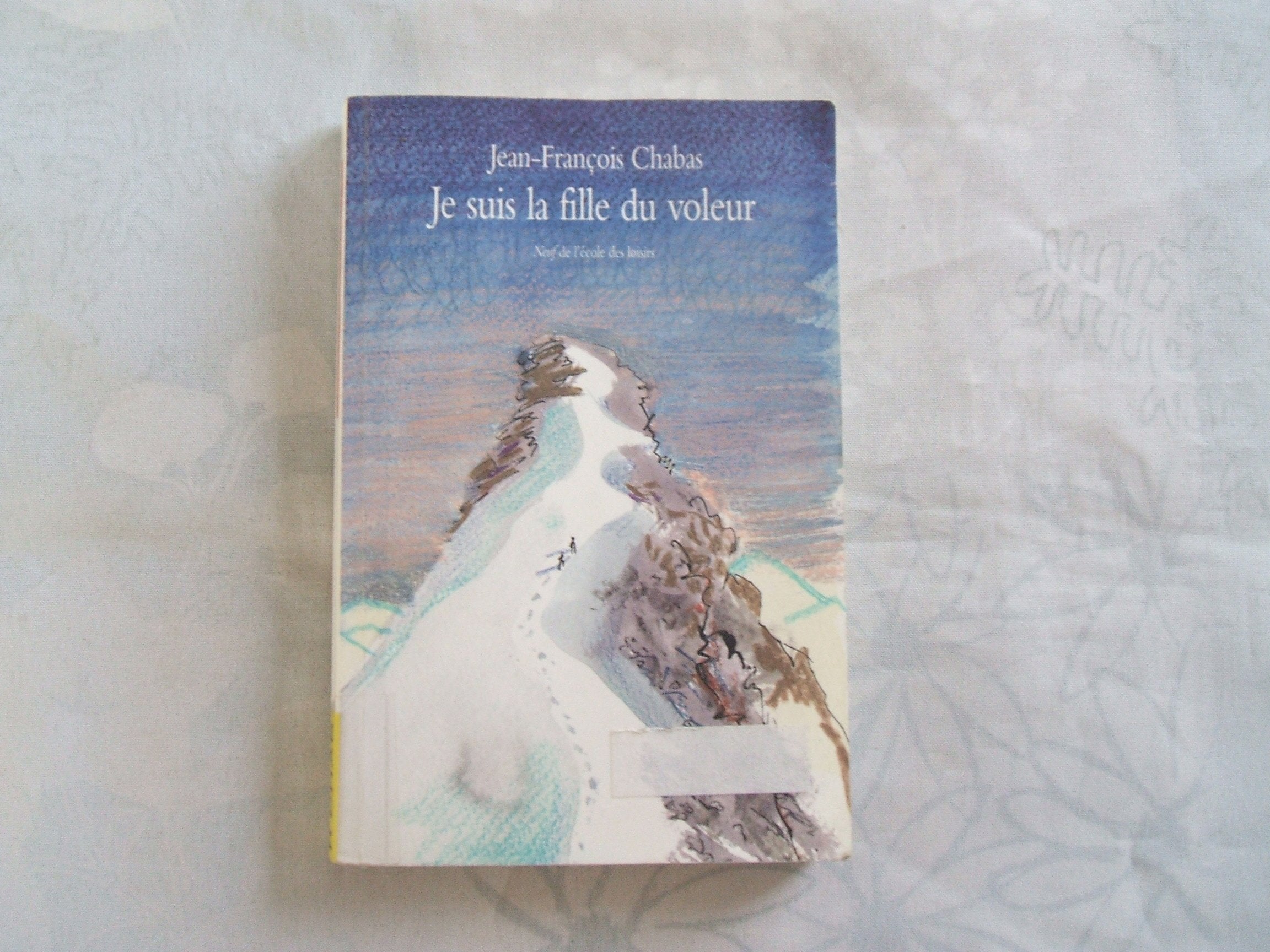 je suis la fille du voleur 9782211089395