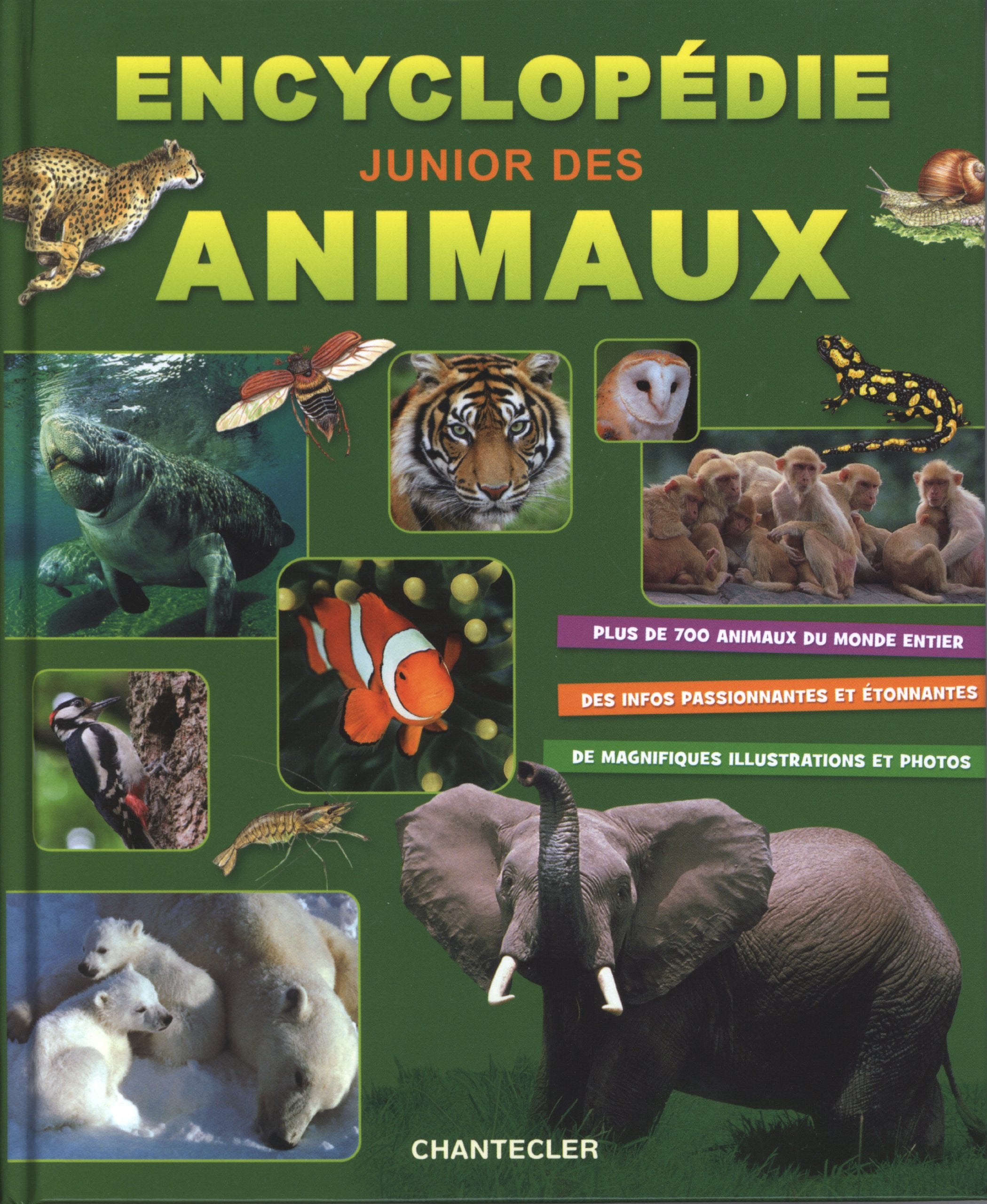Encyclopédie junior des animaux 9782803453757