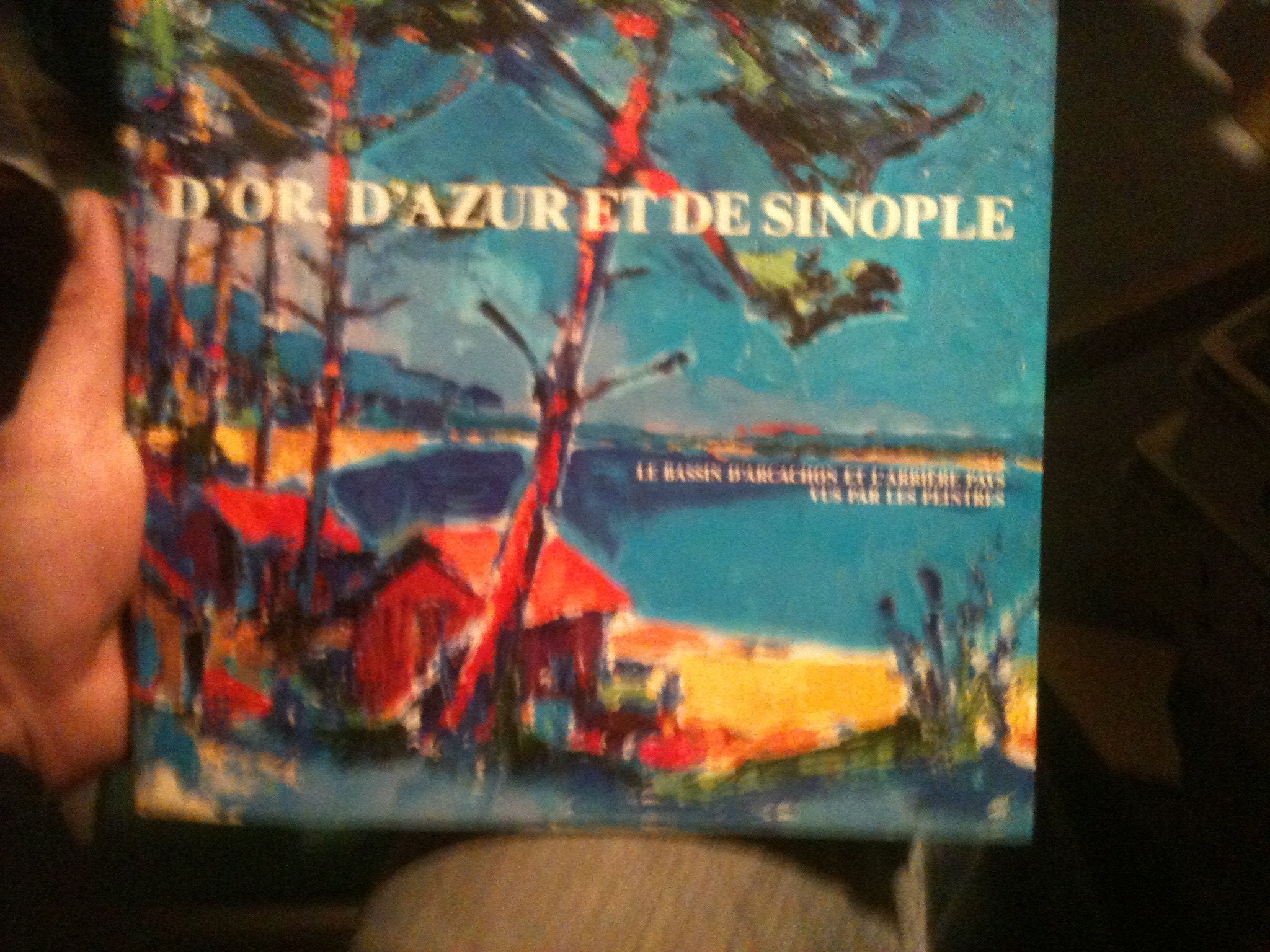D'or D'AZUR ET DE SINOPLE. le bassin d'Arcachon et l'arrière pays vus par les peintres 9782909339993