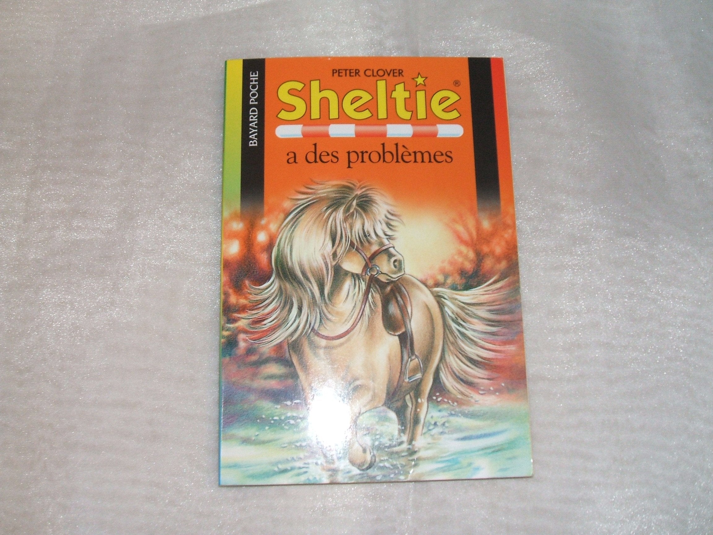 Sheltie a des problèmes 9782747004534