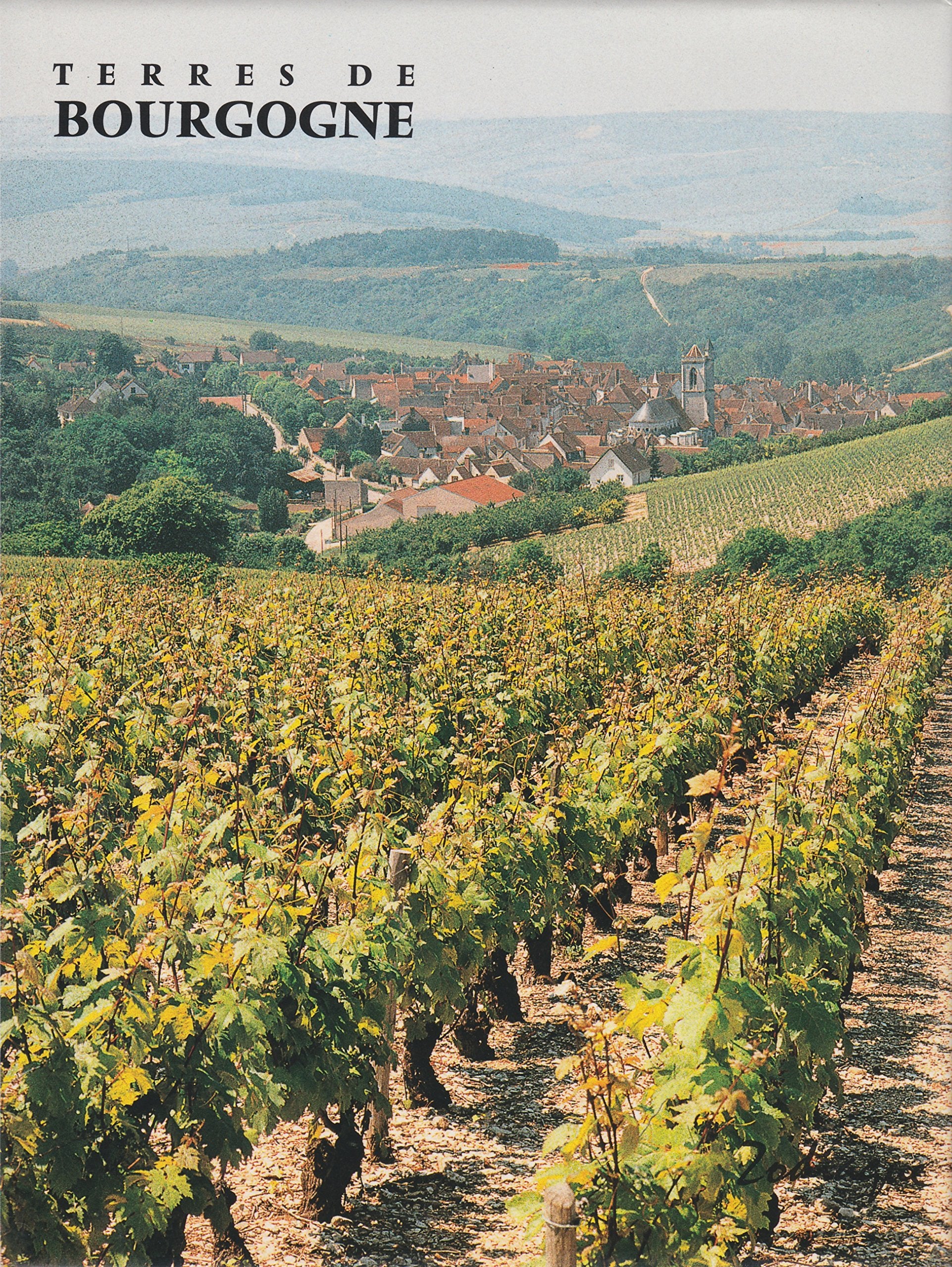 Terres de Bourgogne 9782736902162