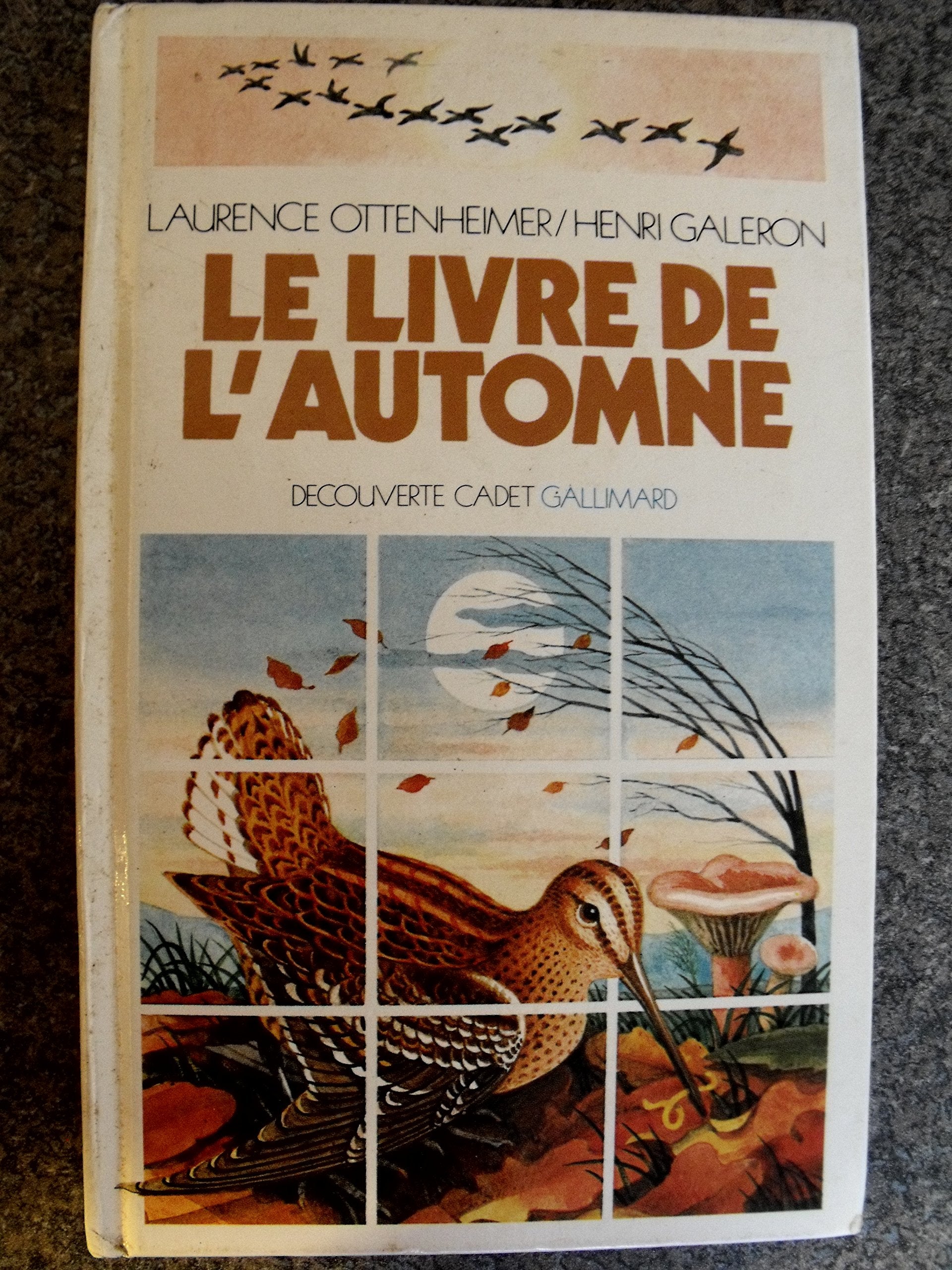 Livres Des Saisons. Tome 3, Le Livre De L'Automne 9782070395064
